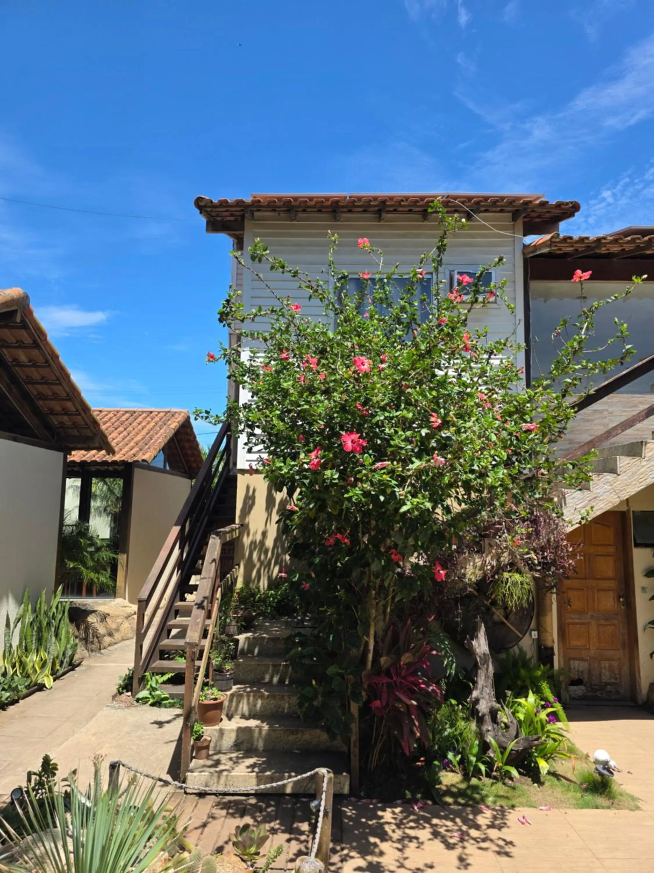 Garden in Pousada Bon Vivant