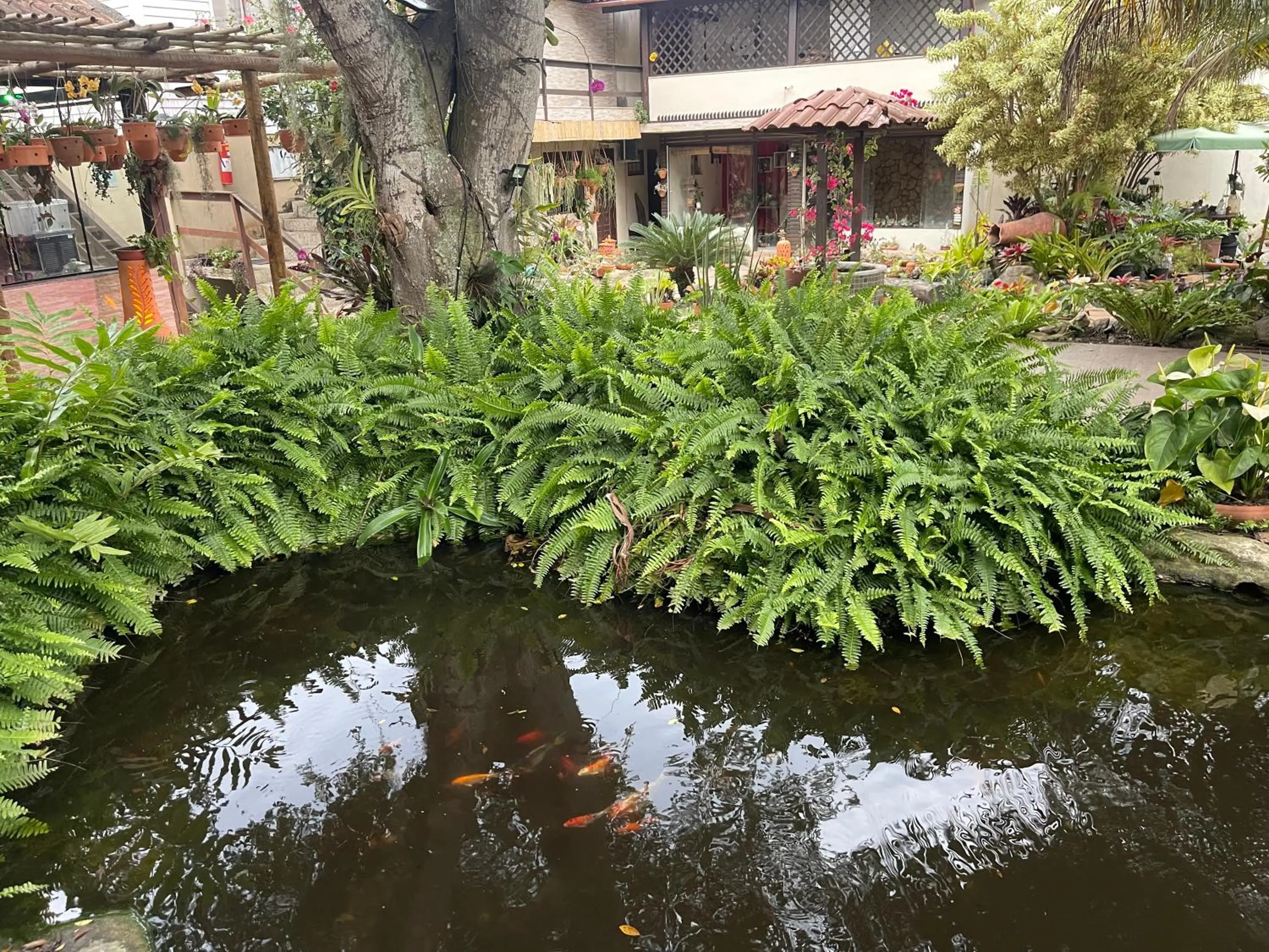 Day in Pousada Bon Vivant