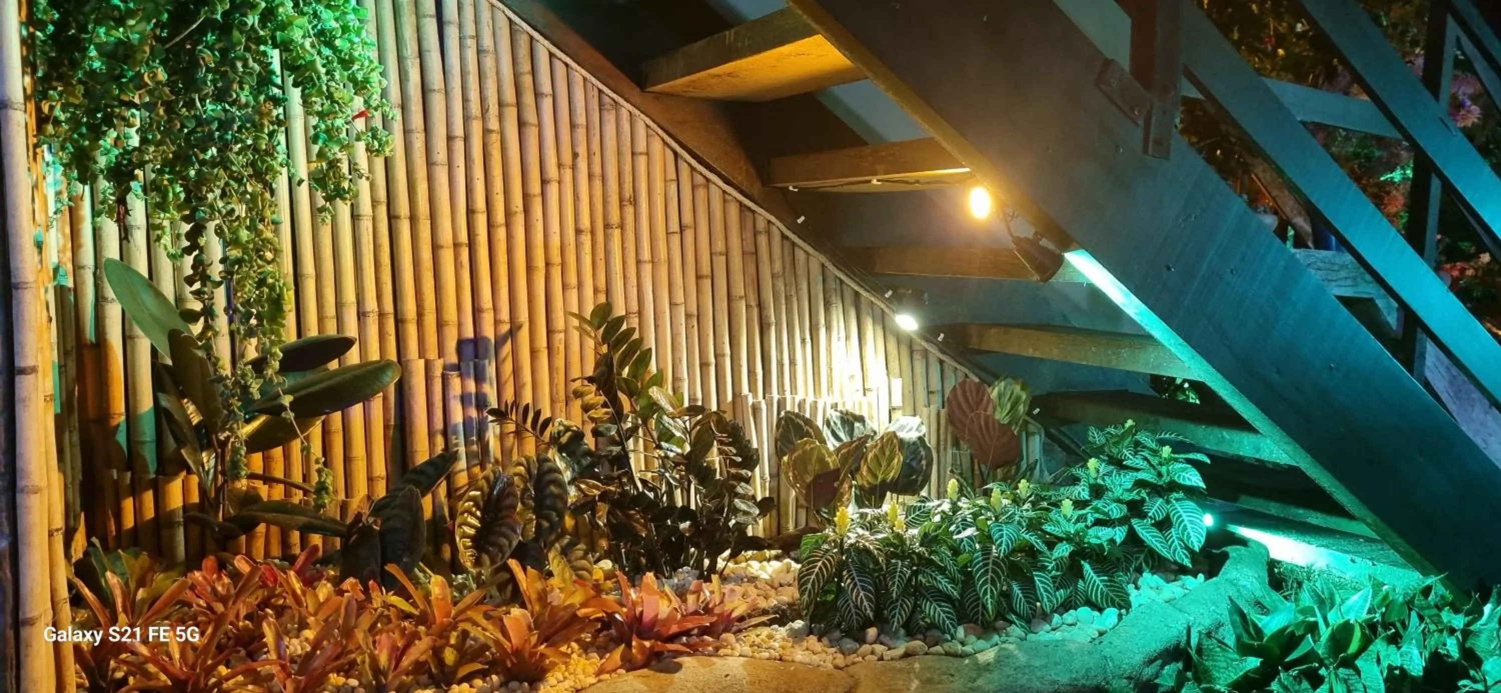 Garden in Pousada Bon Vivant