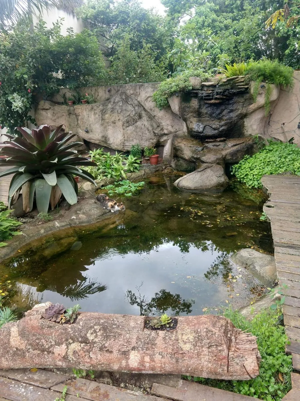Garden in Pousada Bon Vivant