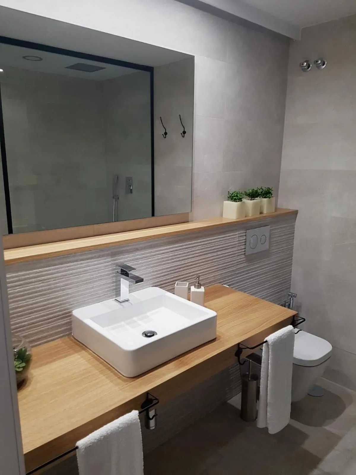 Toilet in DreamsApt Sagasta