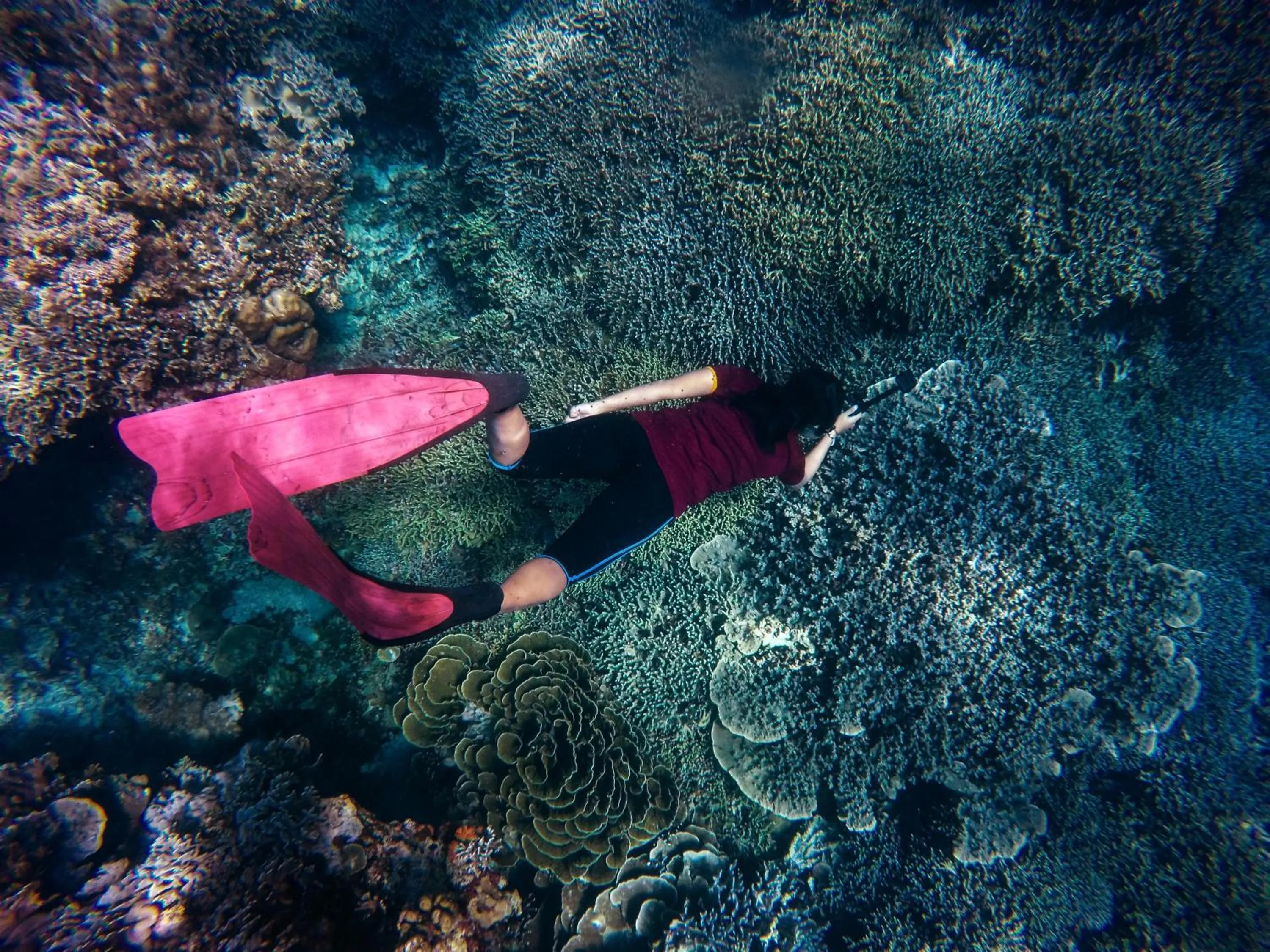Snorkeling in Ashyana Candidasa Beach Resort