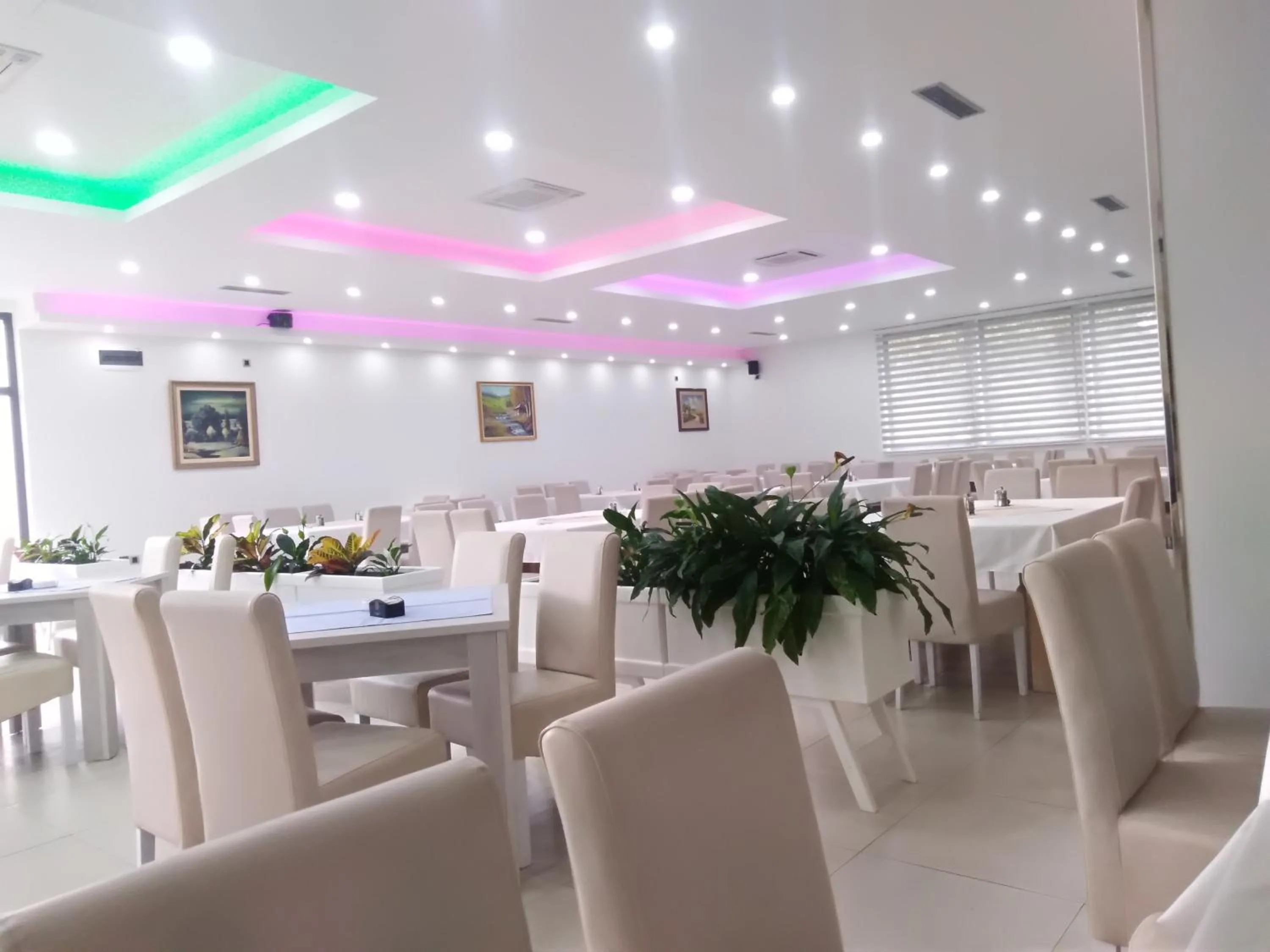 Hotel MK, Plavi restoran, Loznica