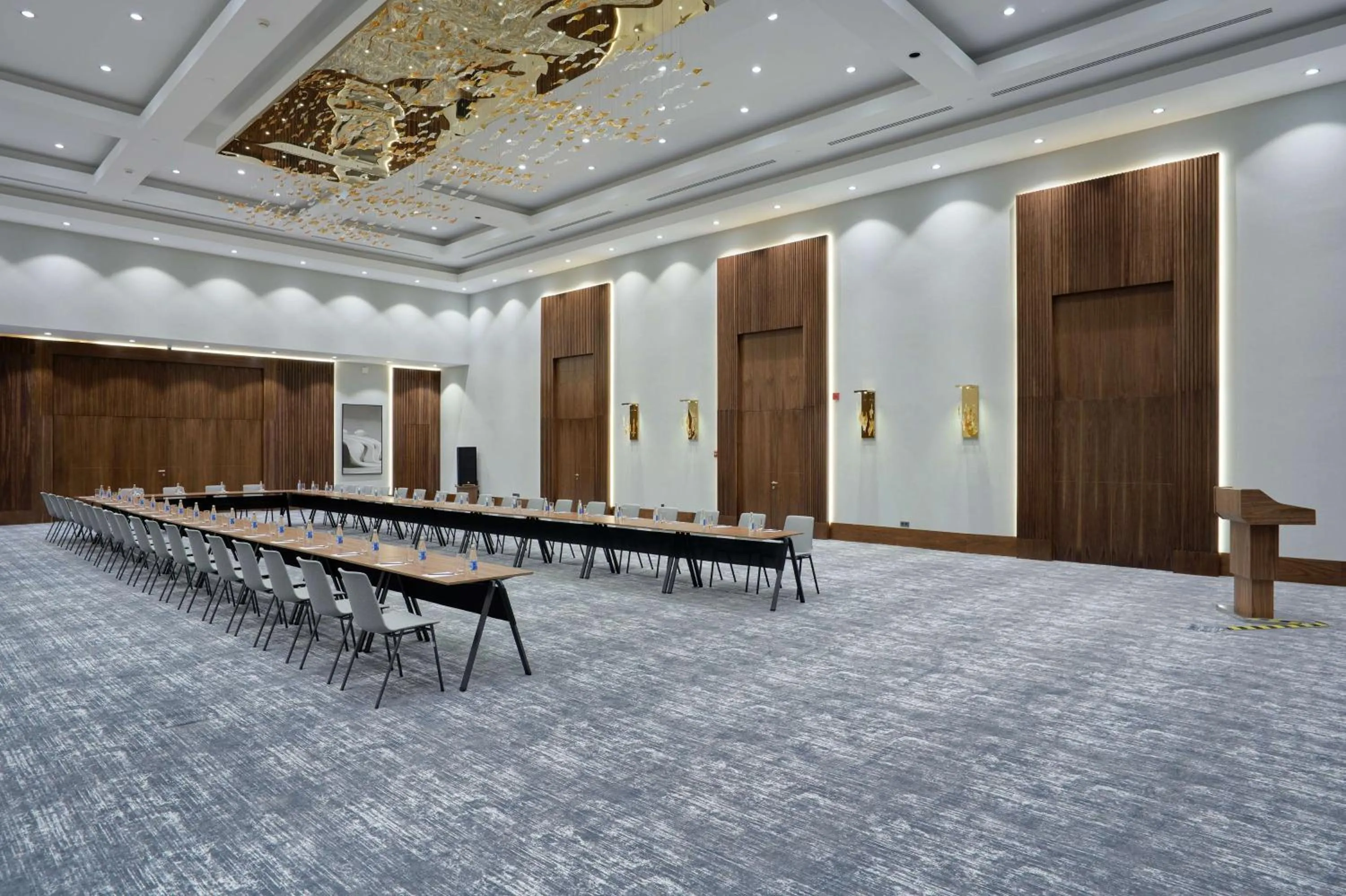 Meeting/conference room in Radisson Hotel Baku