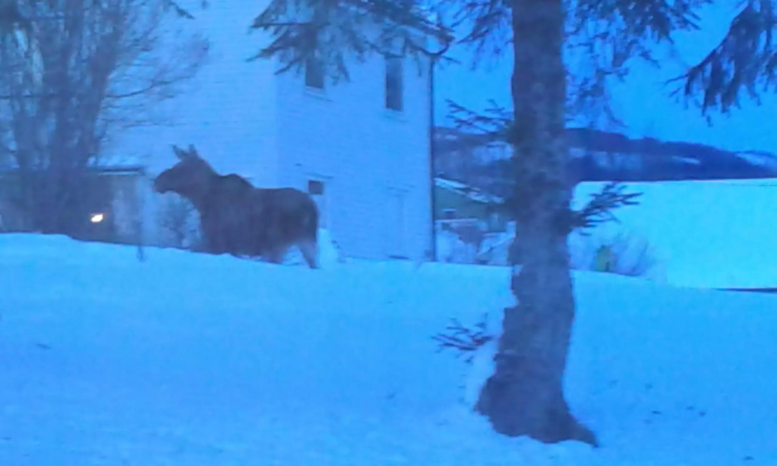 Furoy Hotel Apartments and Boating