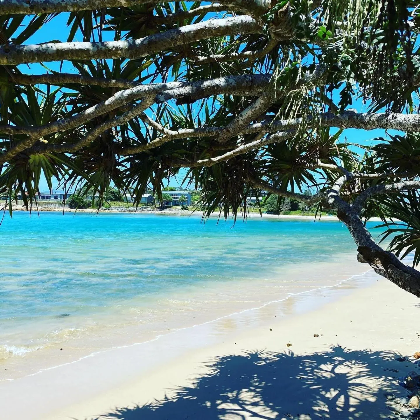 Beach in Blue River Apartments