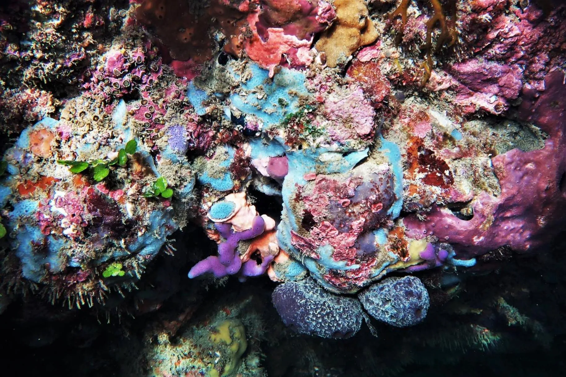 Natural landscape in Blue River Apartments