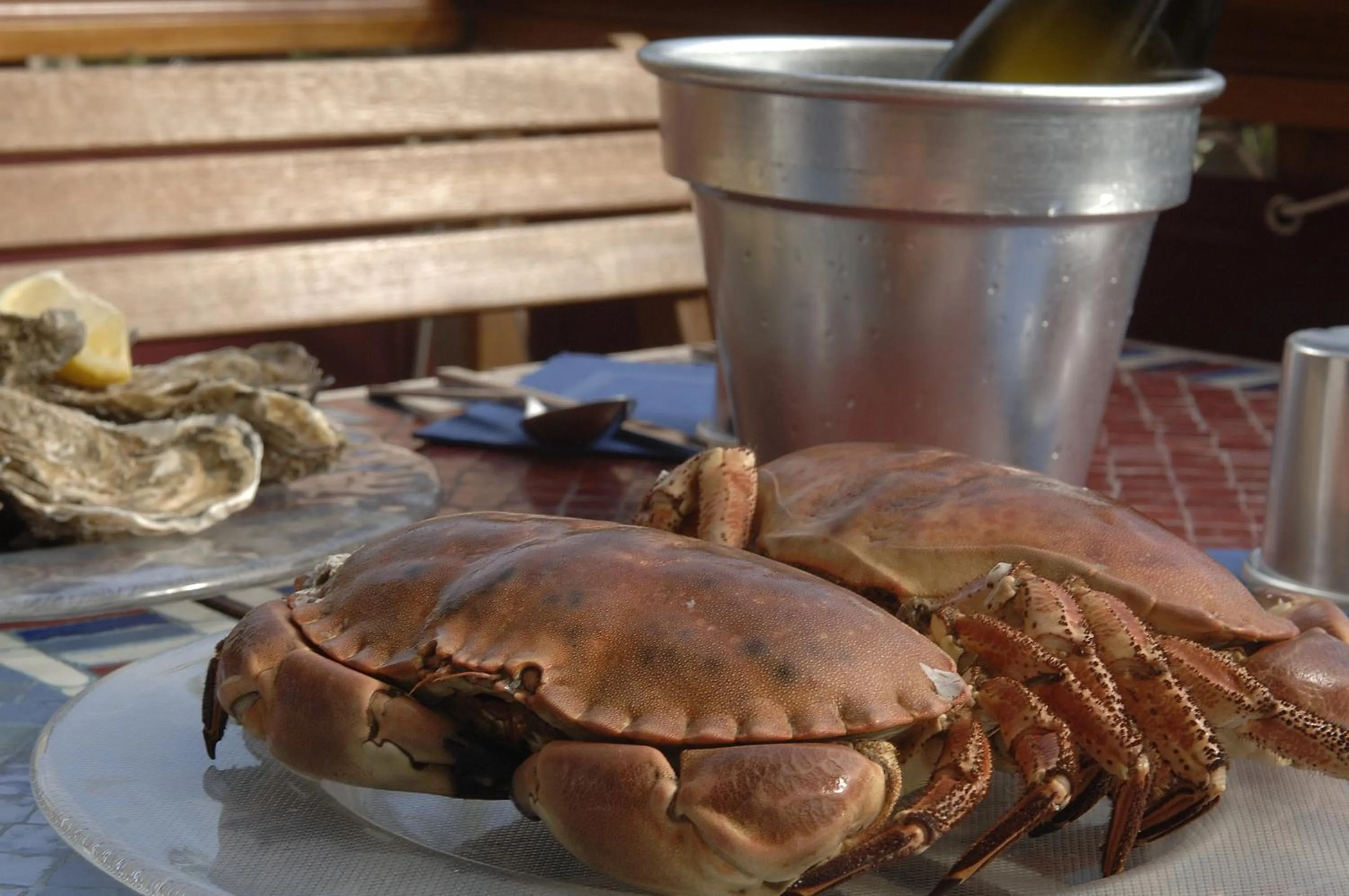 Restaurant/places to eat in Logis Hôtel Restaurant le Printania