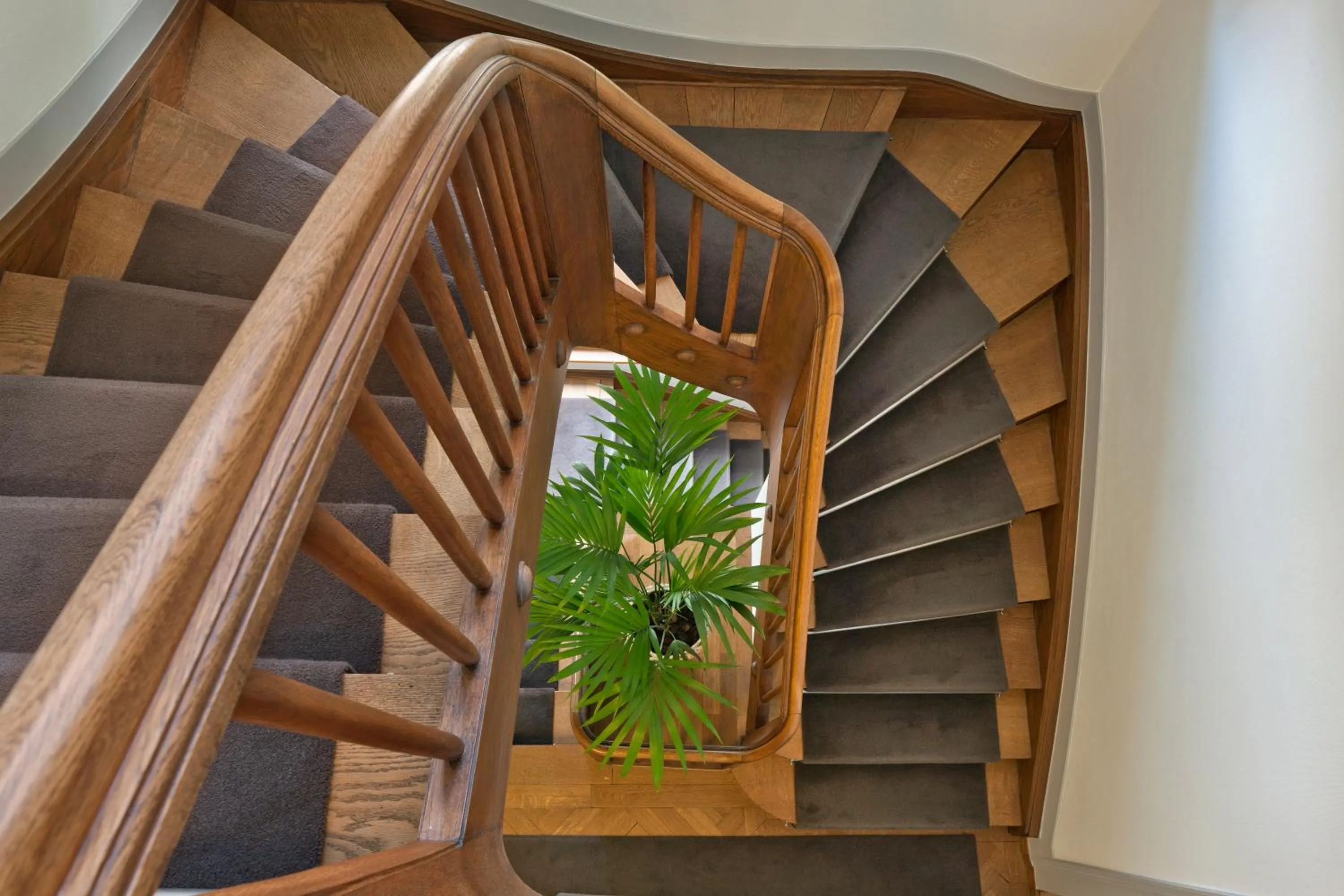 Area and facilities in Boutique-Hotel Auberge Langenthal