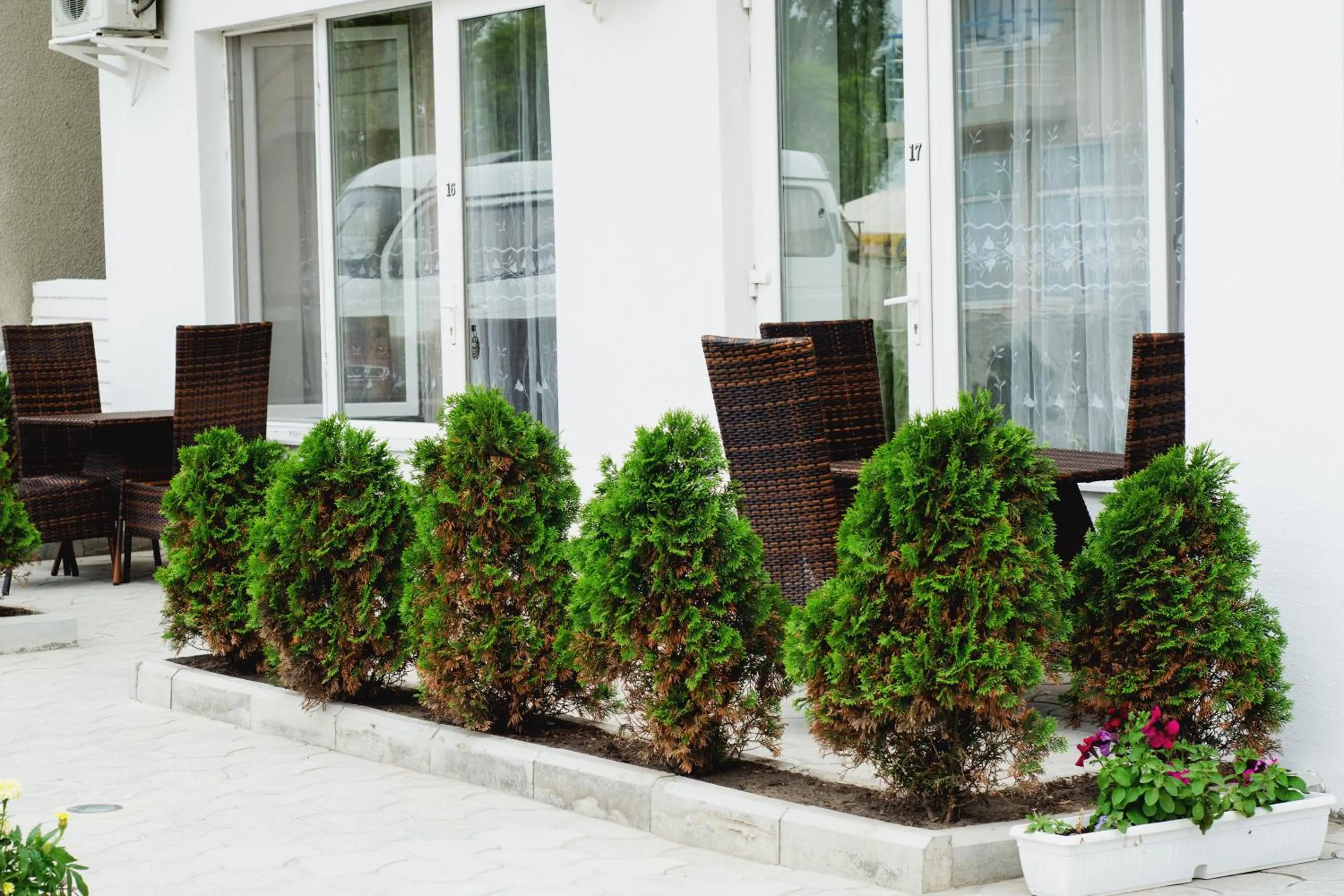Garden in VIP Hotel