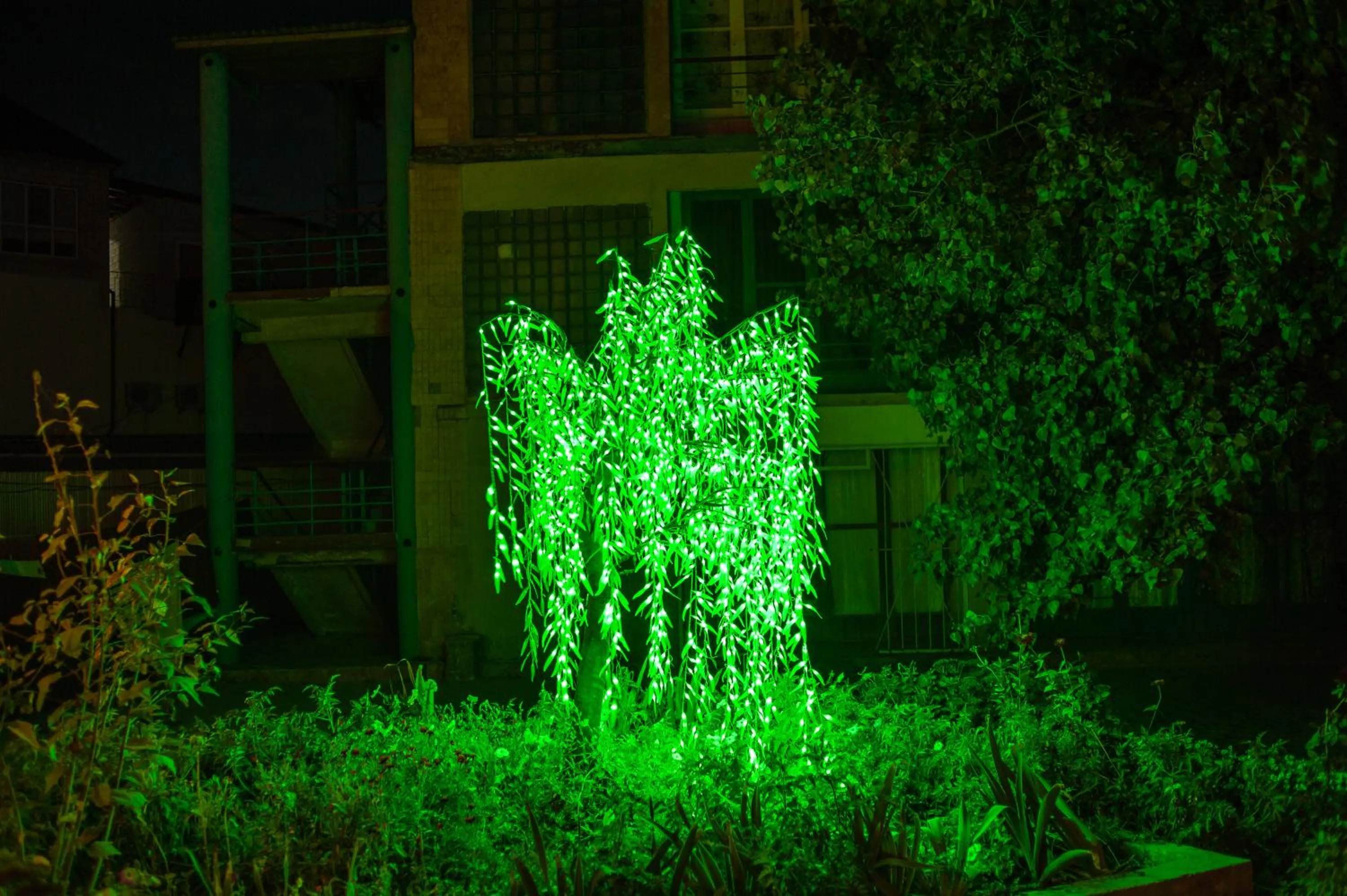 Garden in VIP Hotel