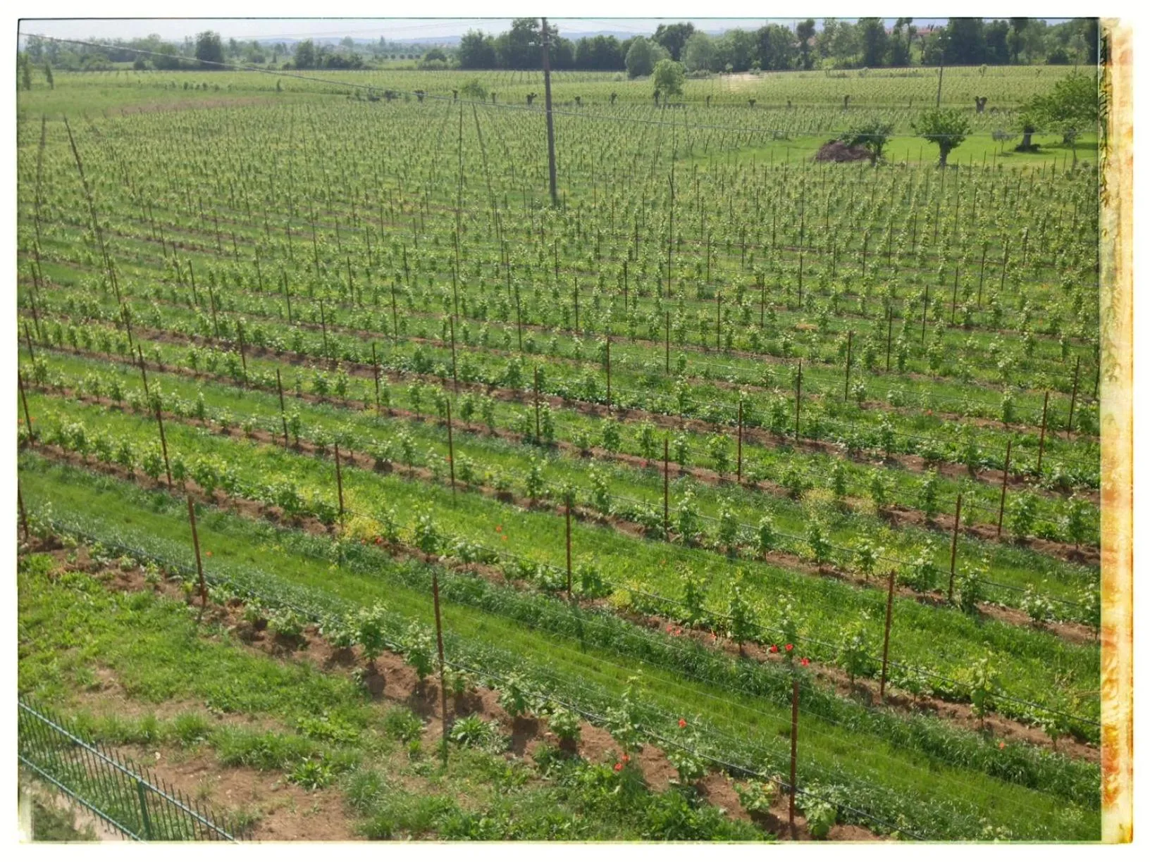 View (from property/room) in Incanto di Luna Hotel