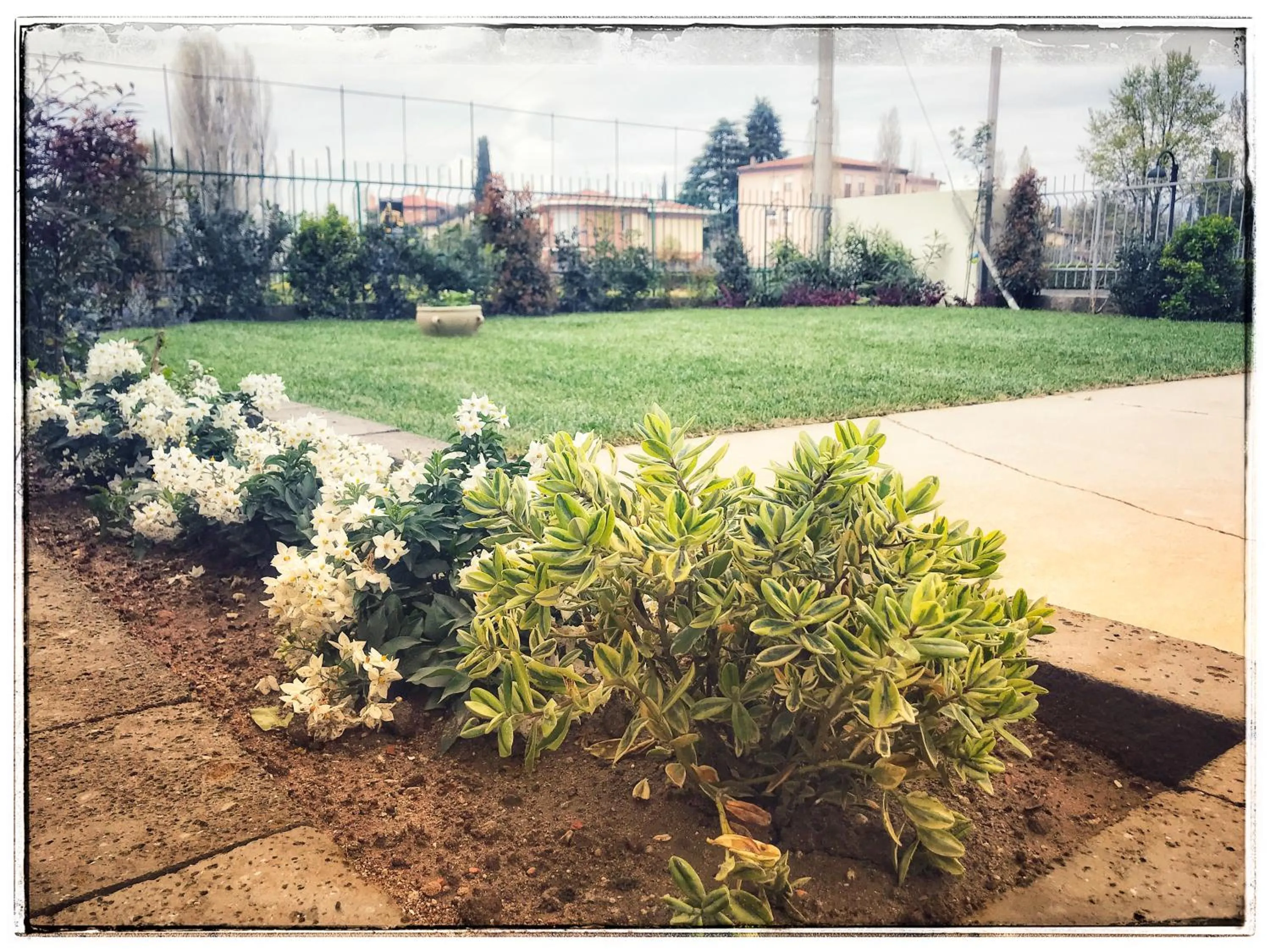 Garden in Incanto di Luna Hotel