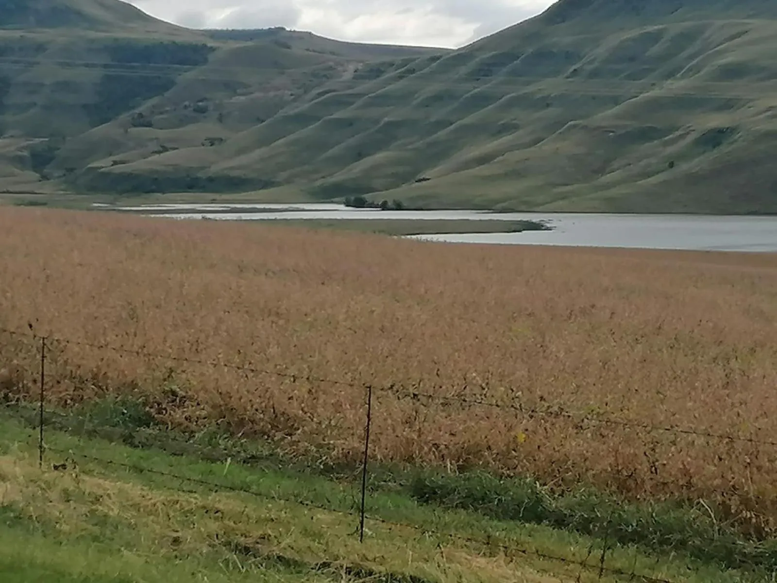 Natural landscape in Bell Park Self Catering