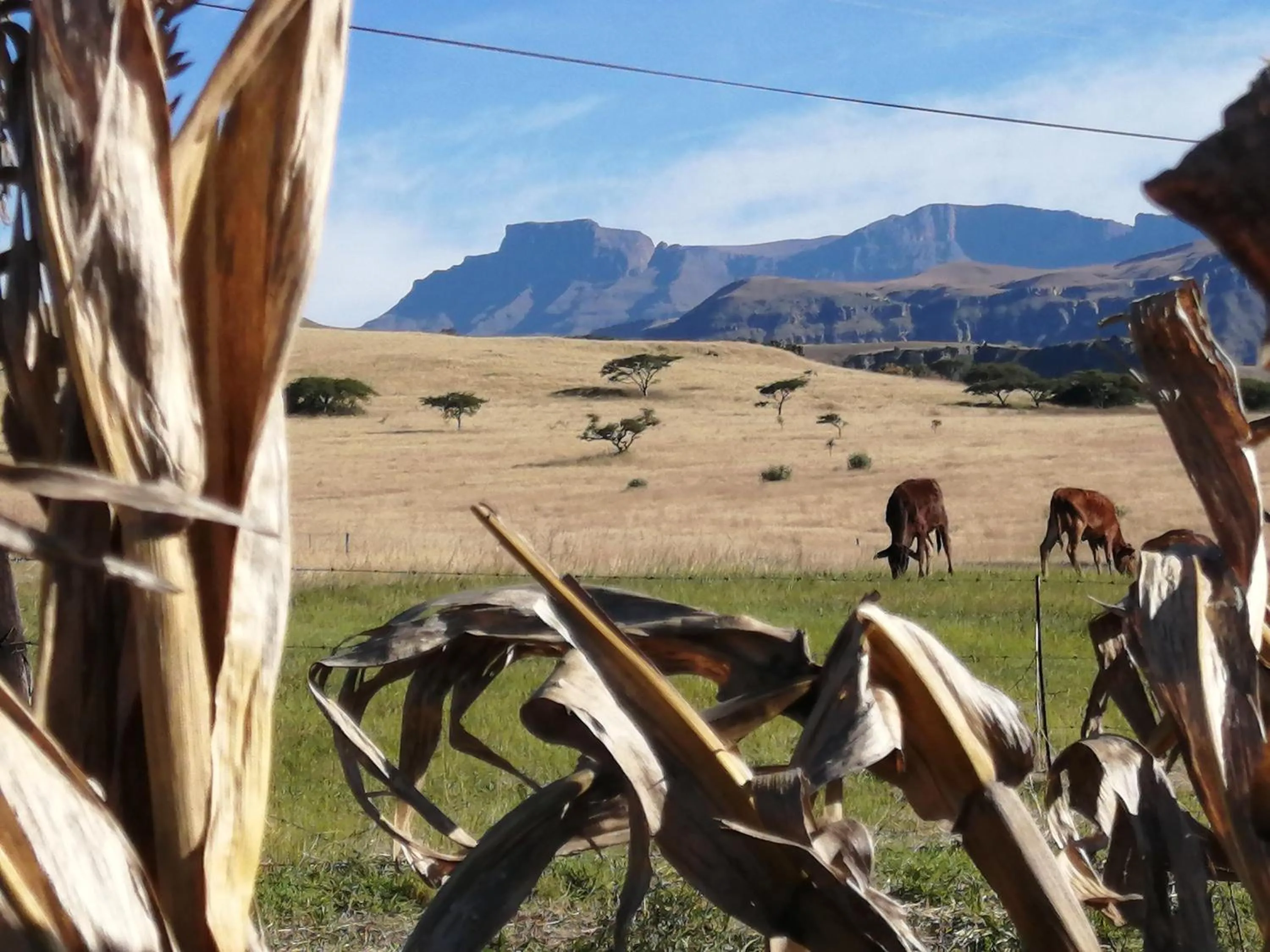 Landmark view in Bell Park Self Catering