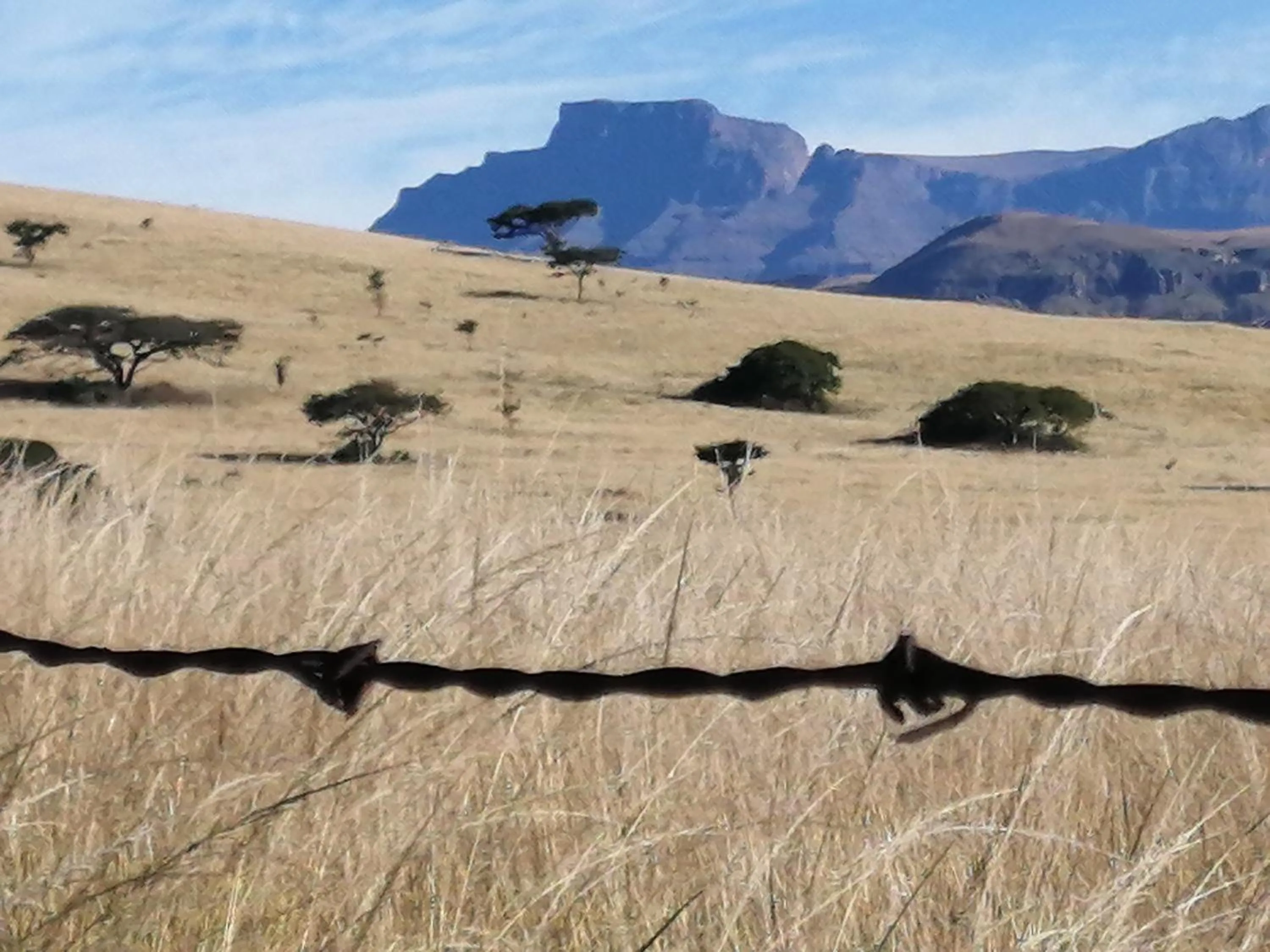 Natural landscape in Bell Park Self Catering