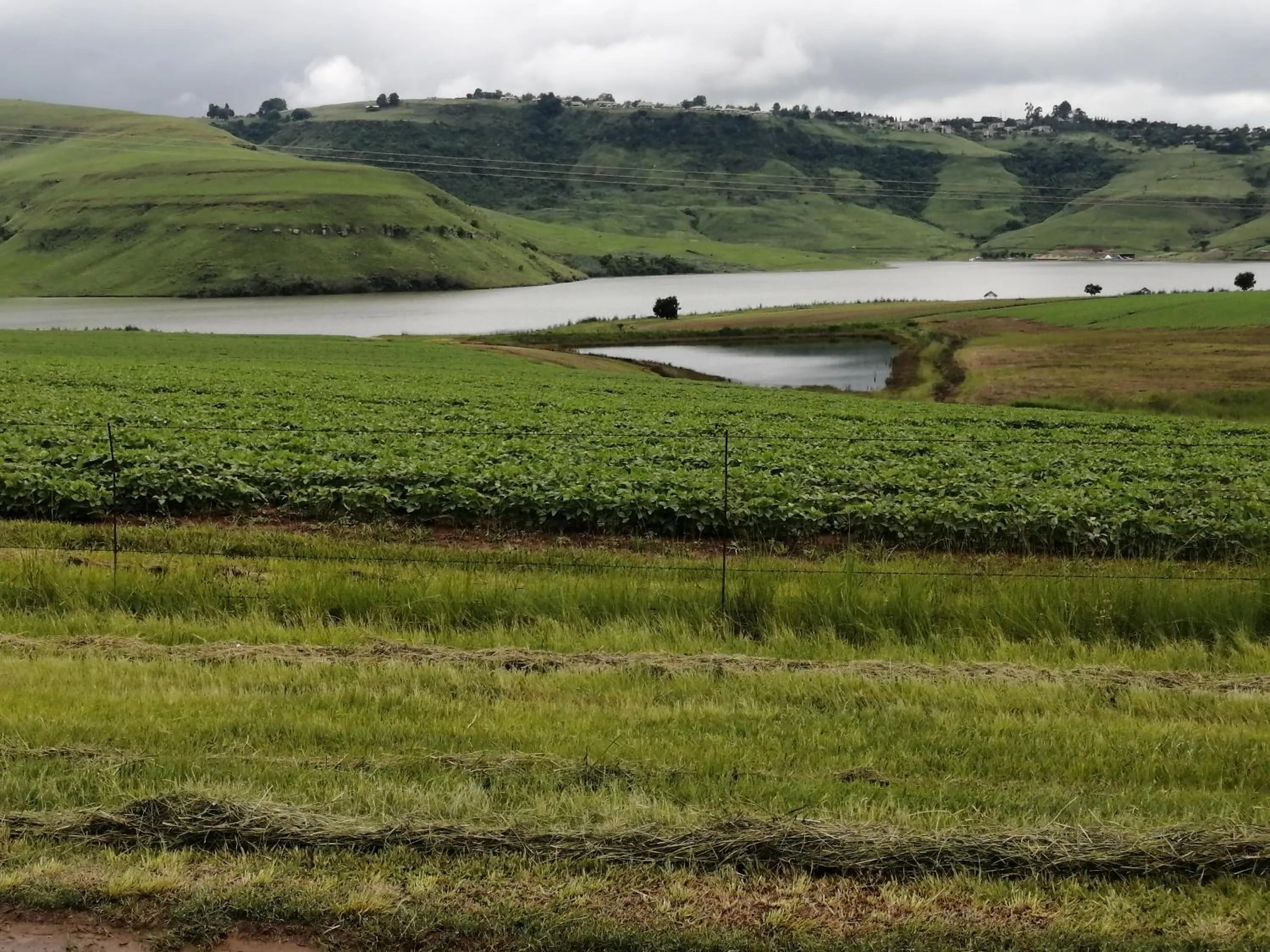 Natural landscape in Bell Park Self Catering
