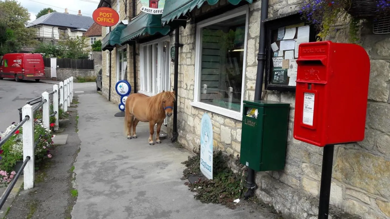 Neighbourhood in Clock House B&B