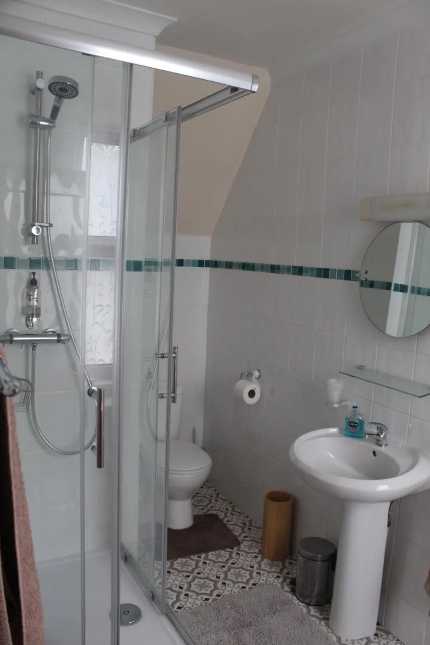Shower in Oakwell Guest House