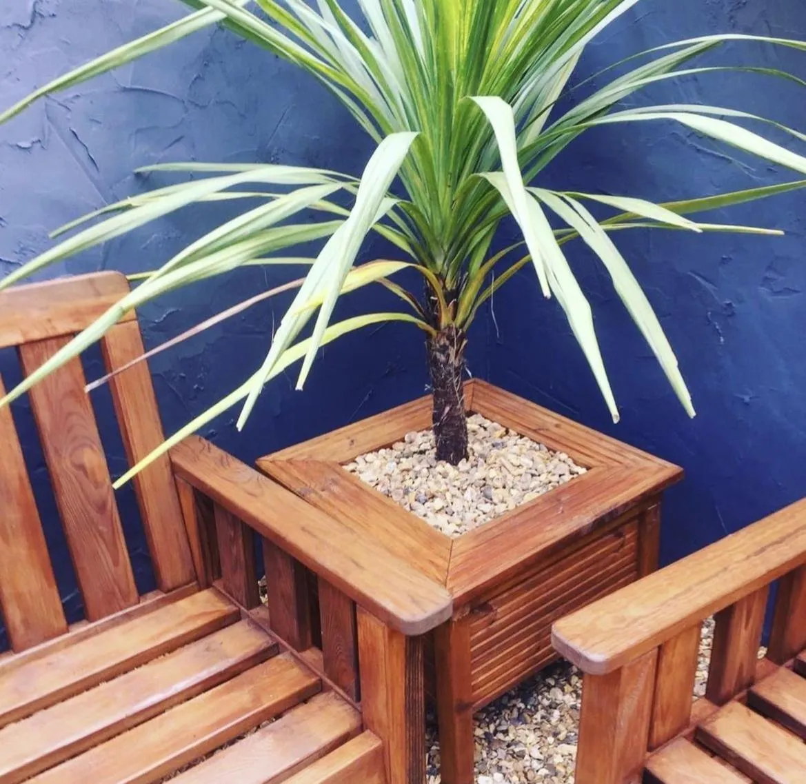 Garden in Maison Claire