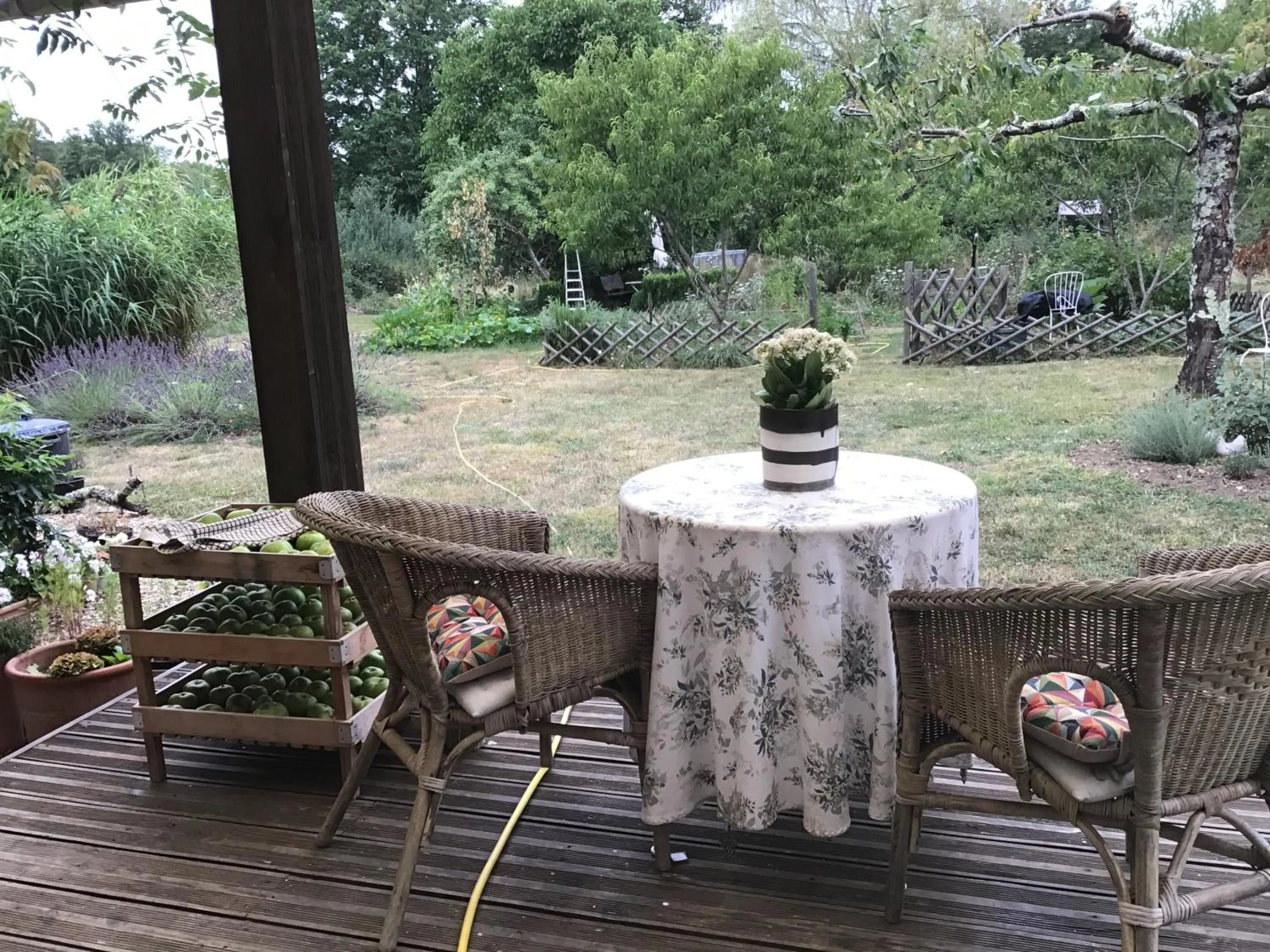 Balcony/Terrace in Le Domaine