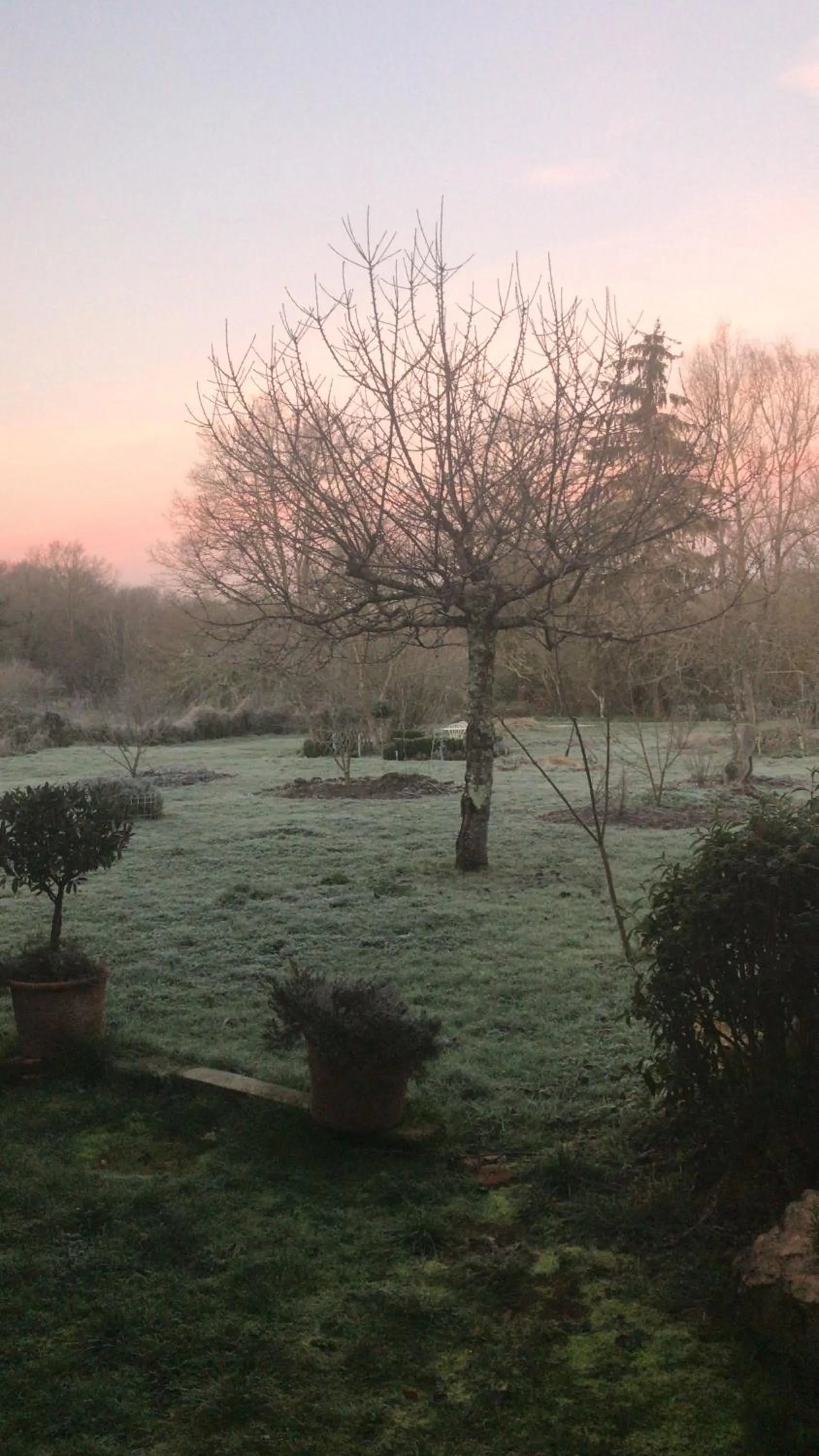 Garden in Le Domaine