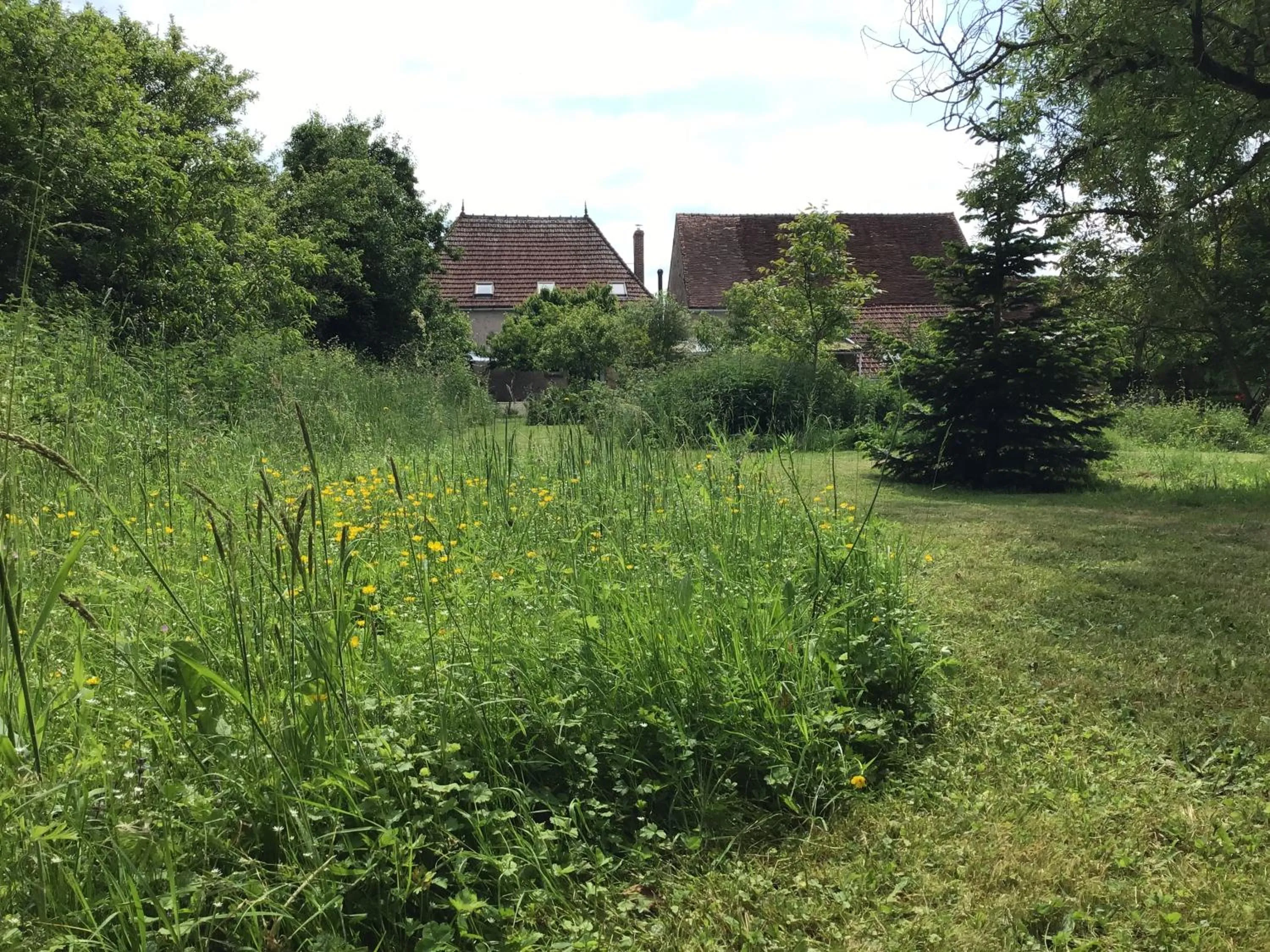 Garden in Le Domaine