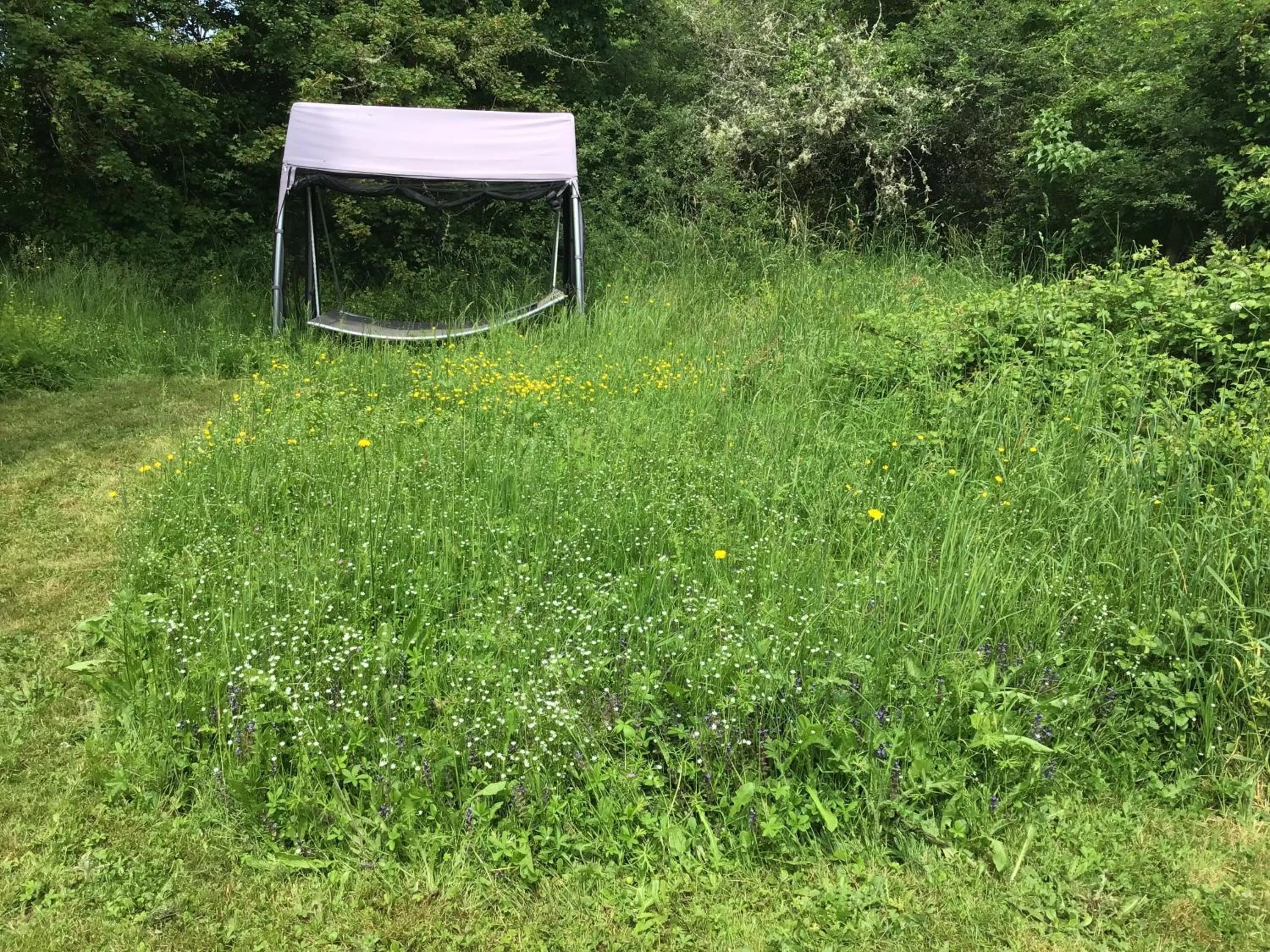 Garden in Le Domaine