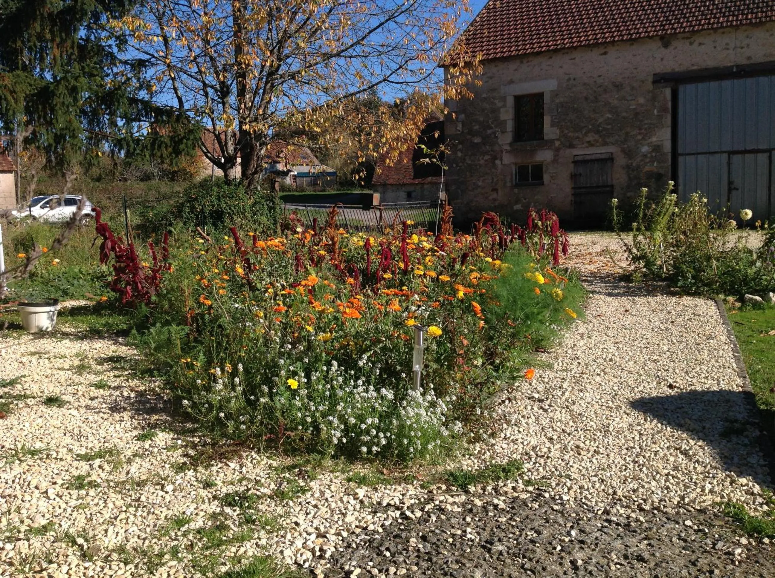 Garden in Le Domaine