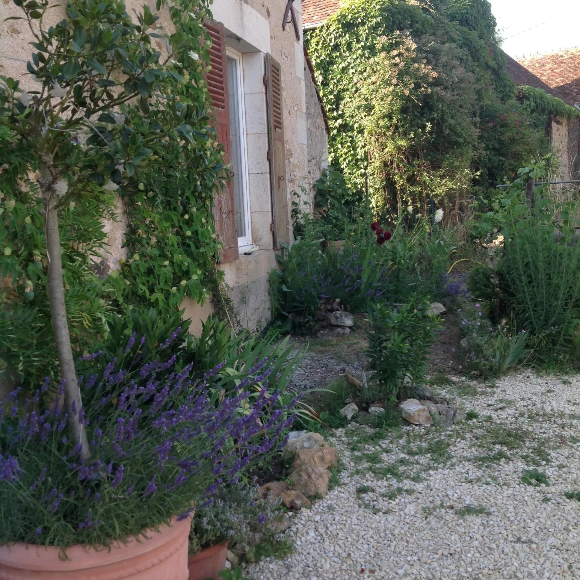 Property building in Le Domaine