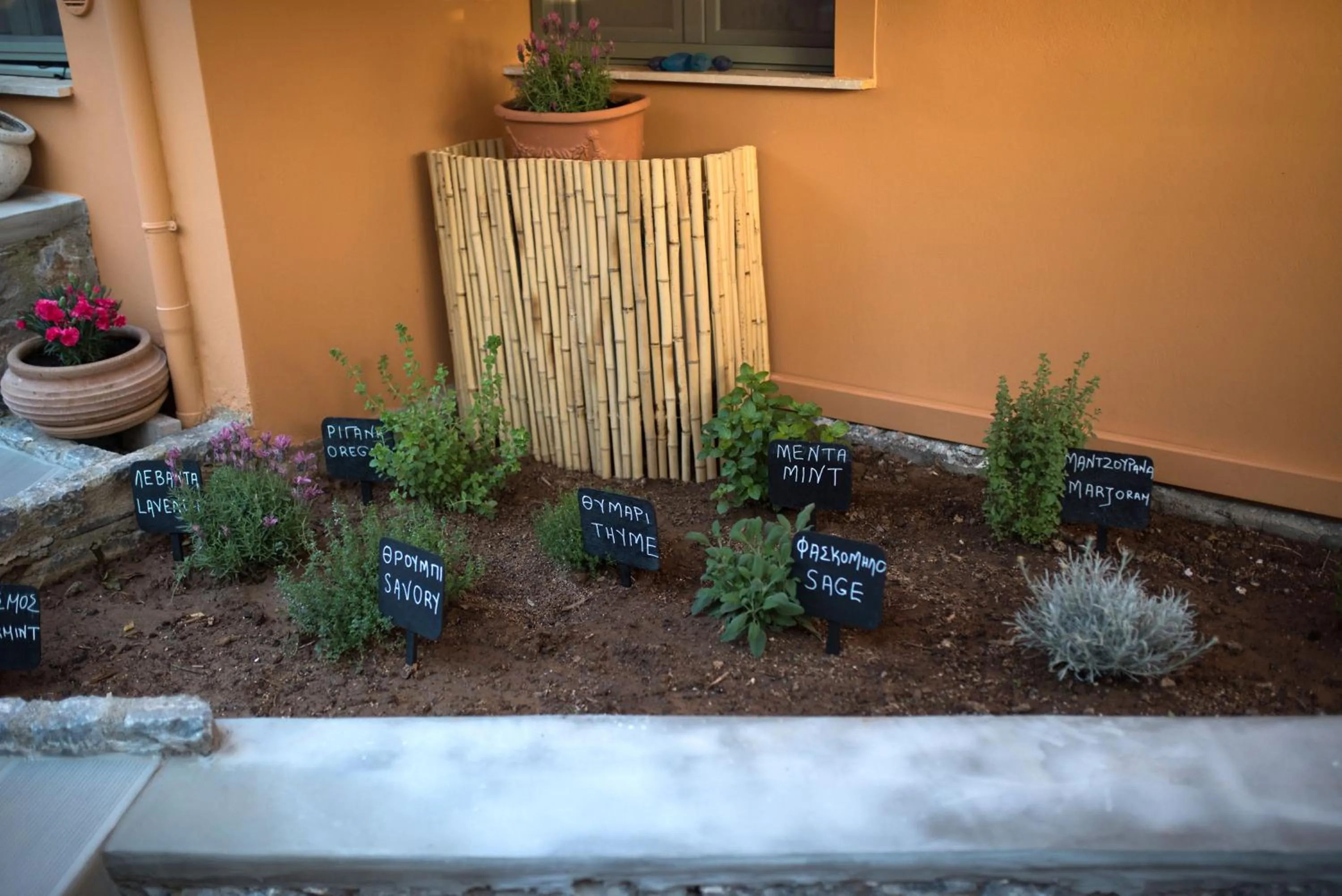 Day in Kanathos Pigi