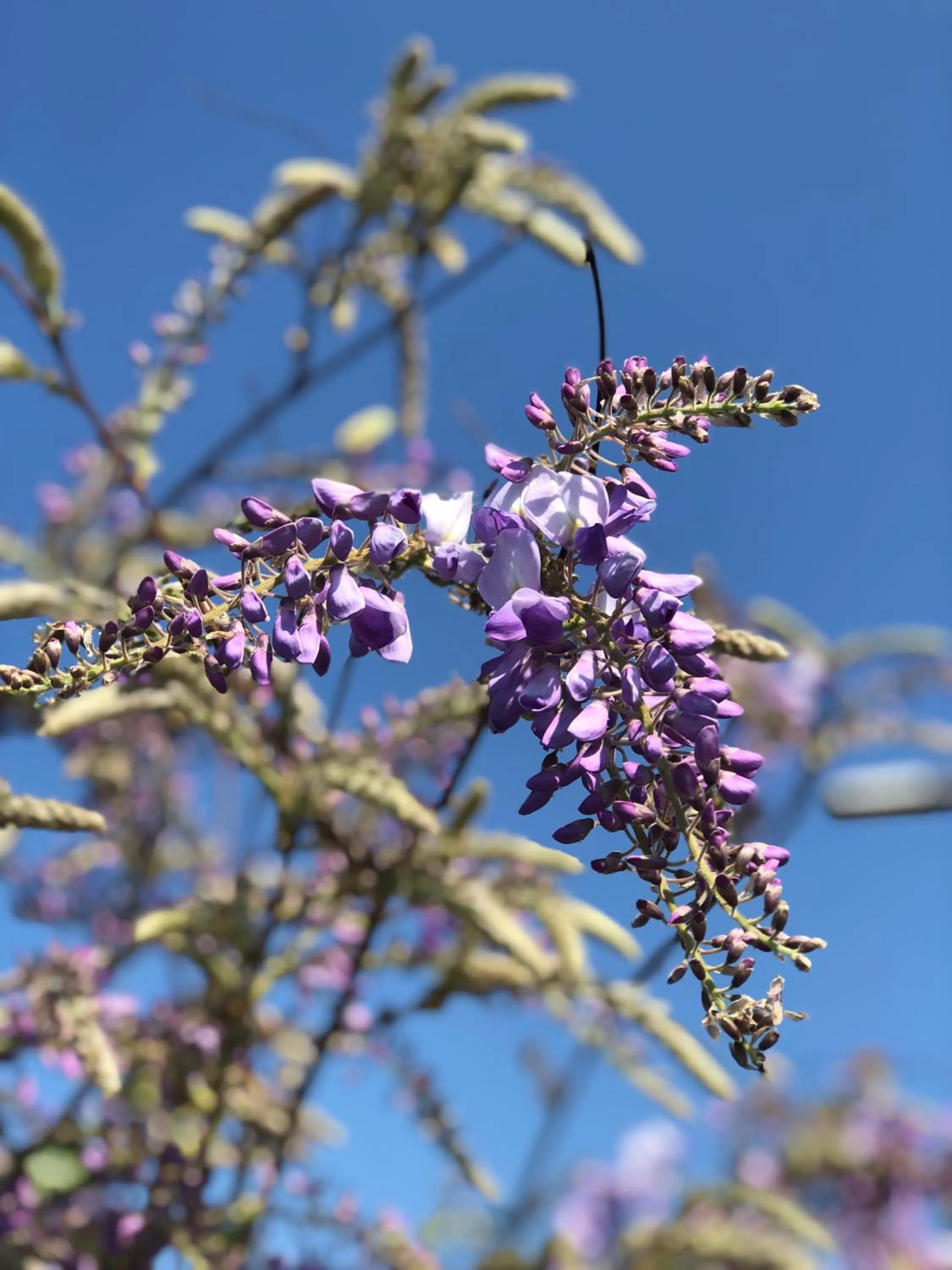 Decorative detail in B&B Montancourt-Middelburg