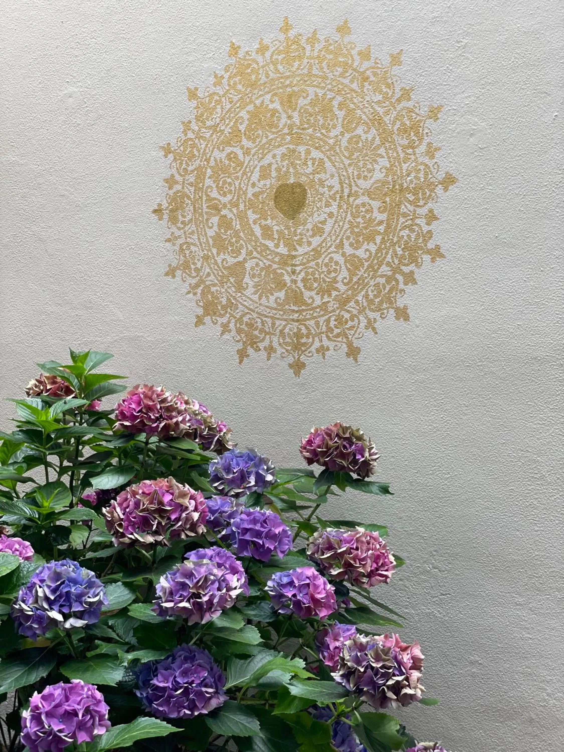 B&B Montancourt-Middelburg