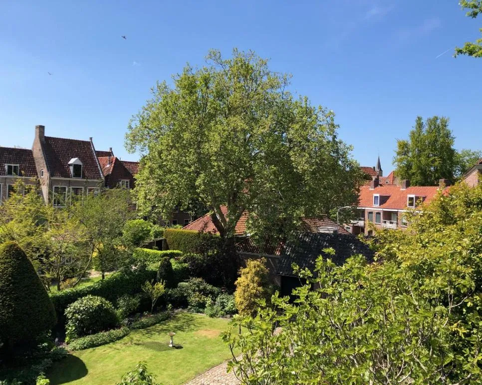 Garden view in B&B Montancourt-Middelburg