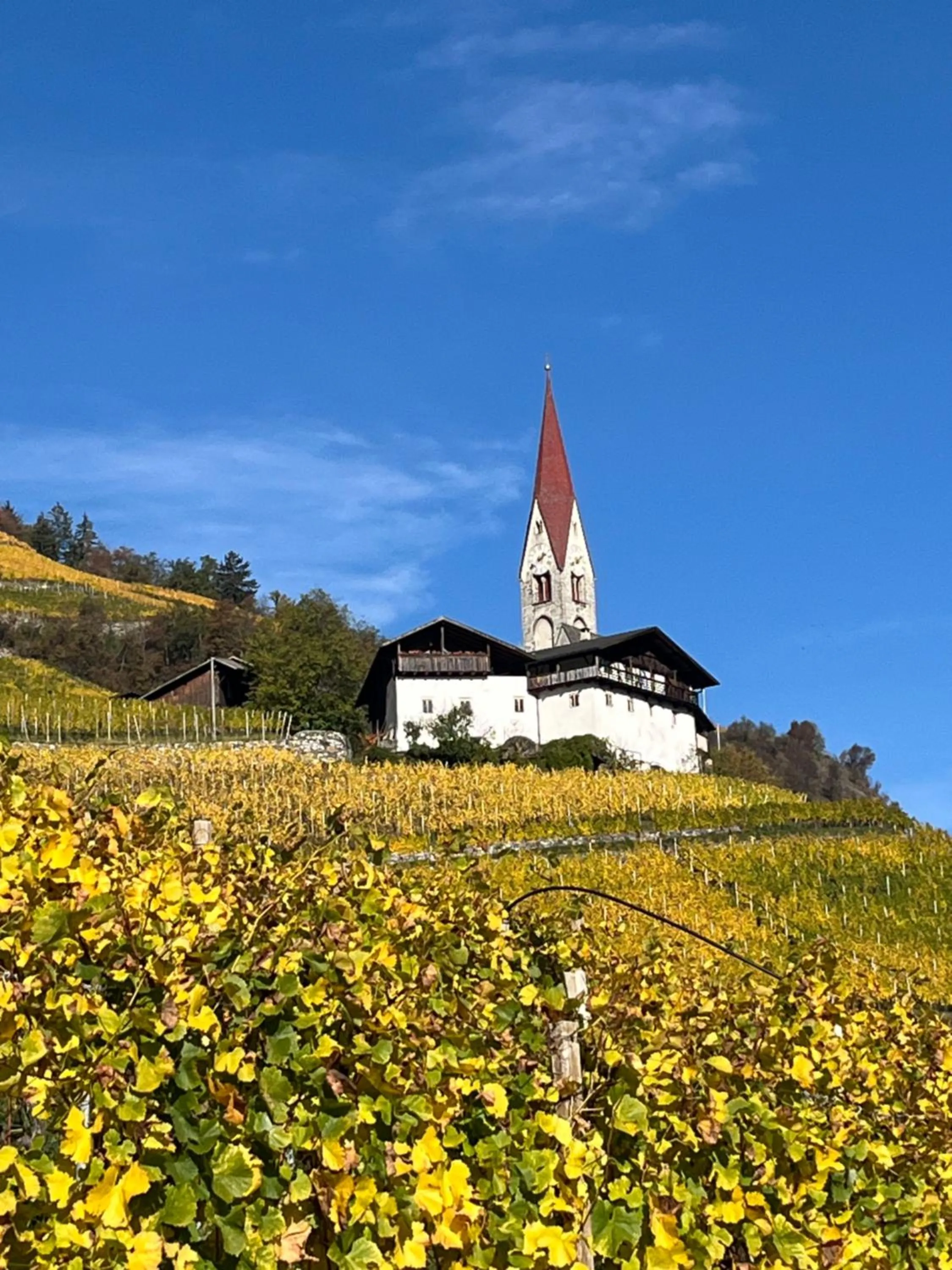 Landmark view in Appartements Toni