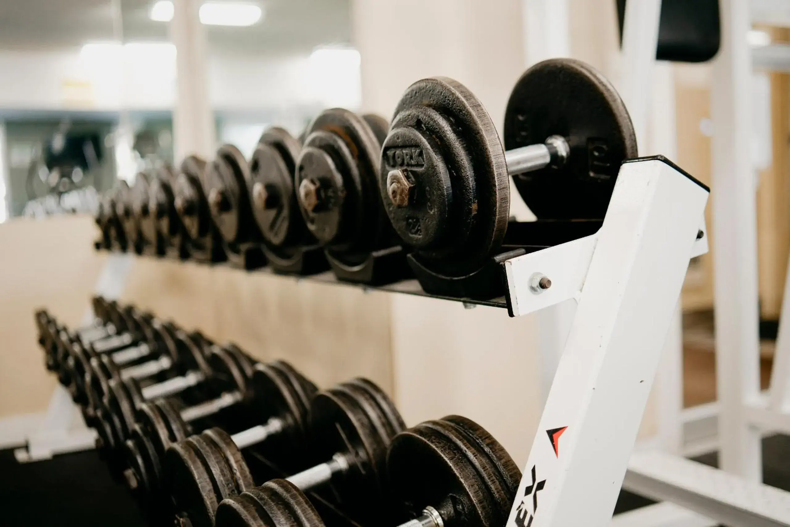 Fitness centre/facilities in Ramada Golden Fitness centre/facilities in Ramada Golden