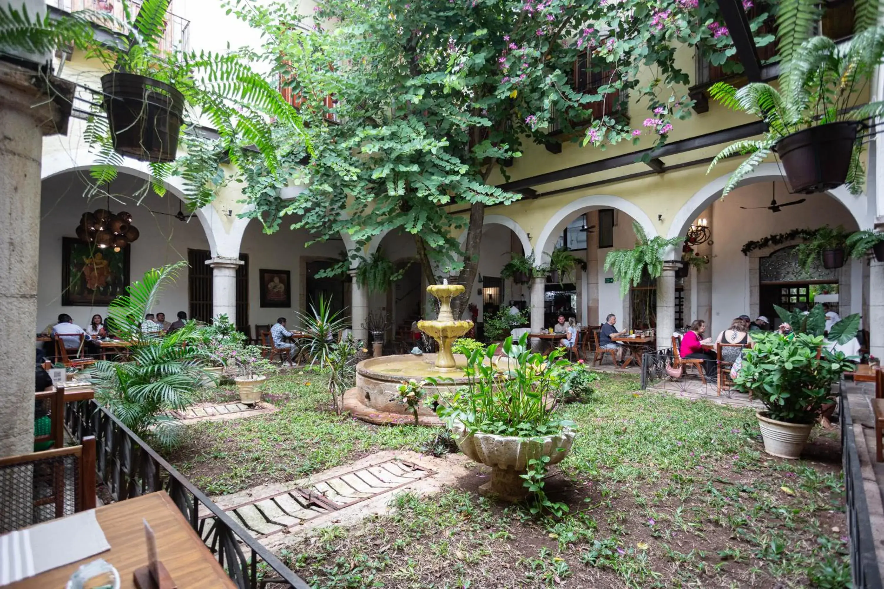 Restaurant/places to eat in Hotel Meson del Marques Restaurant/places to eat in Hotel Meson del Marques