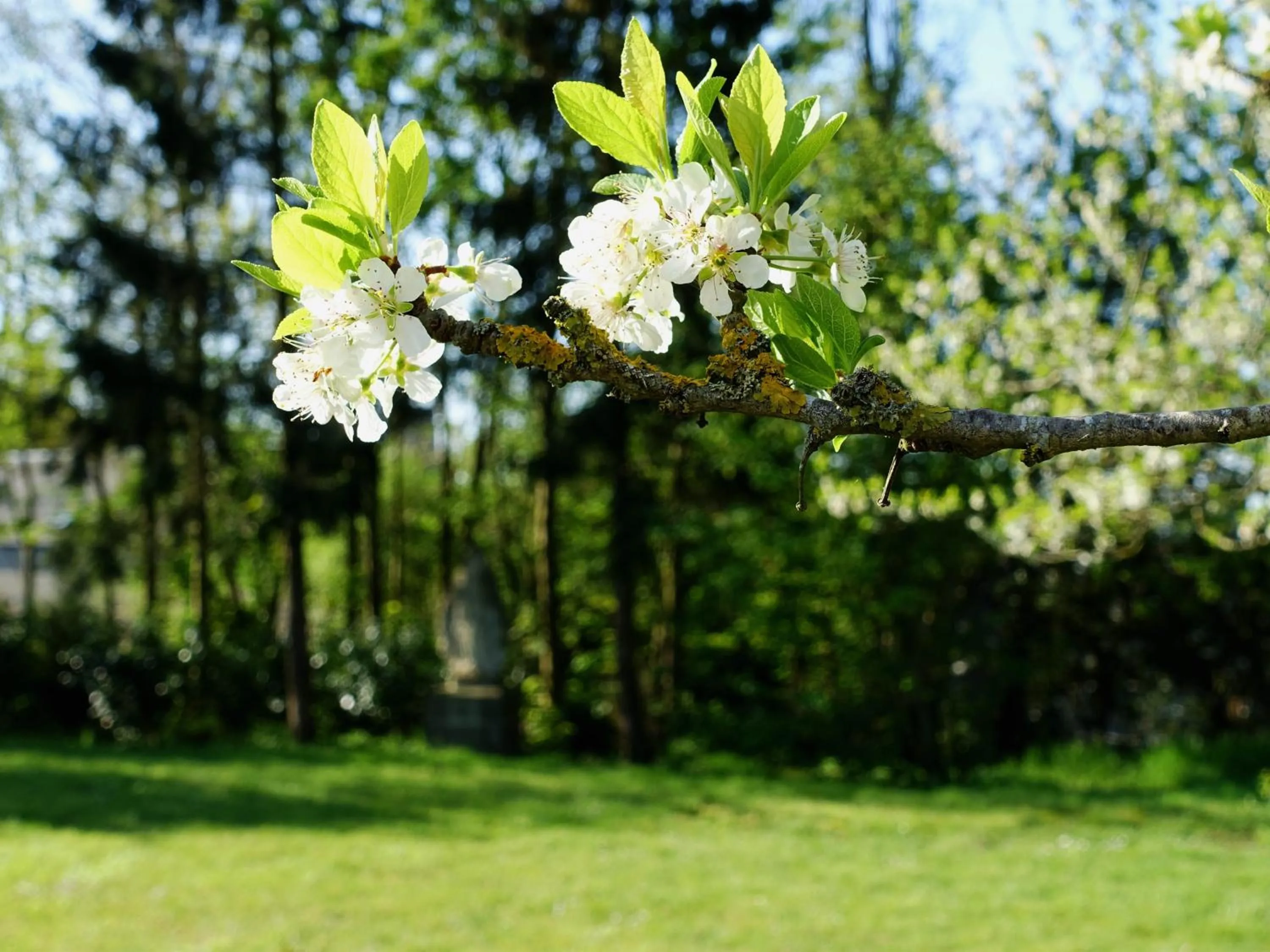 Property building in Les Prémontrés