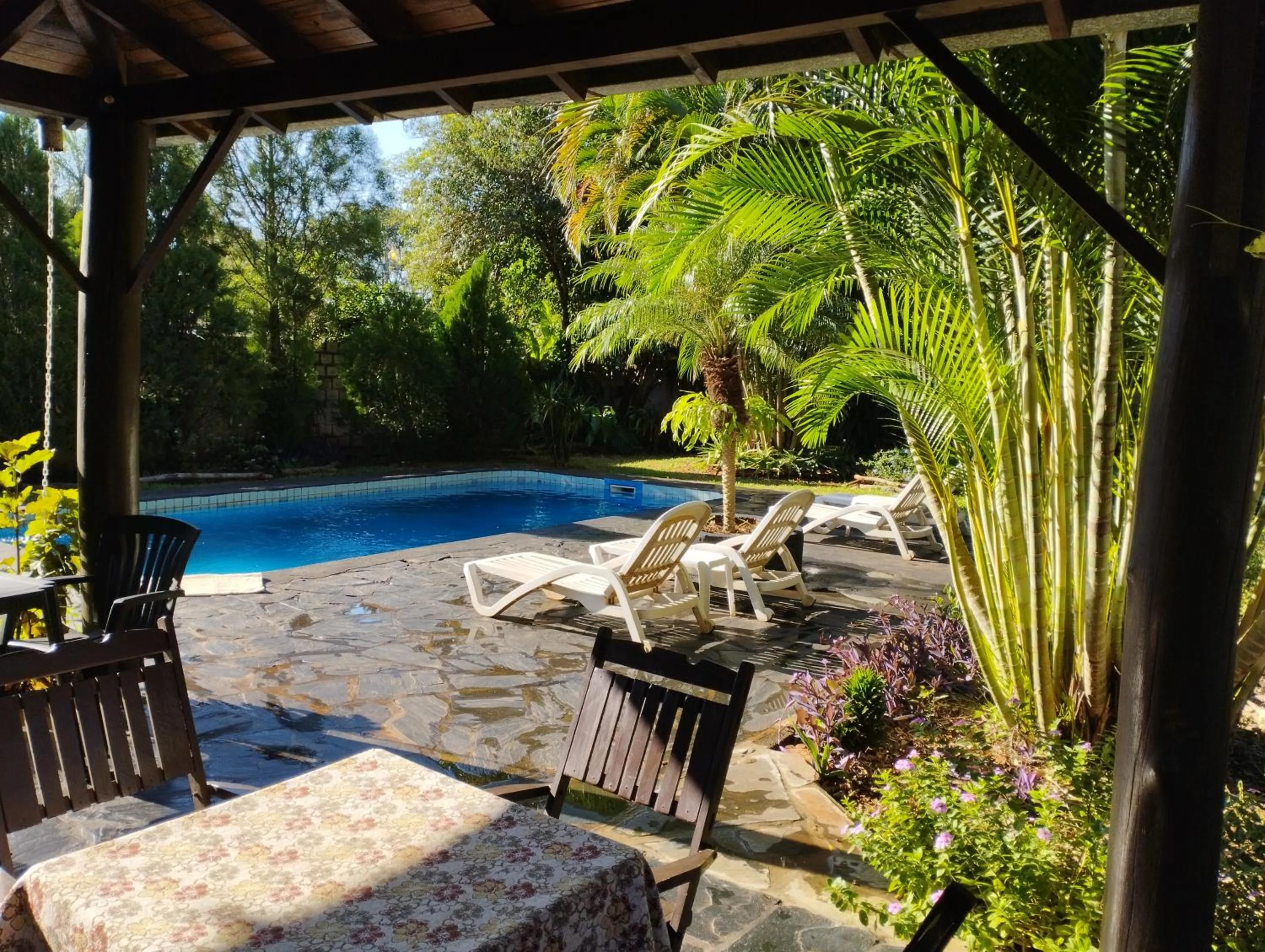 View (from property/room) in Los Tangueros