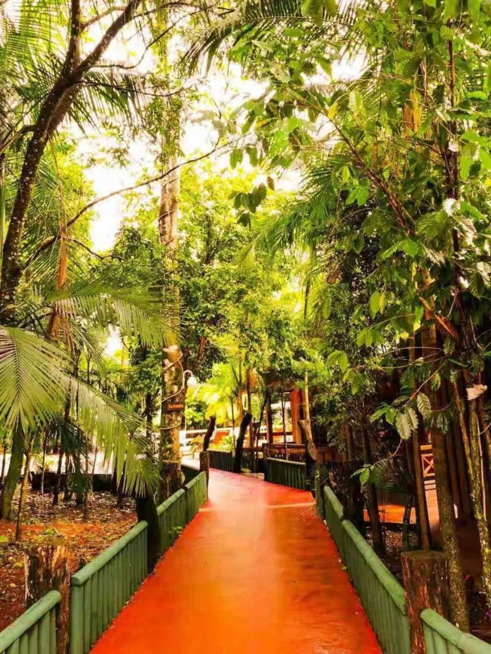 Day in Palo Rosa Lodge