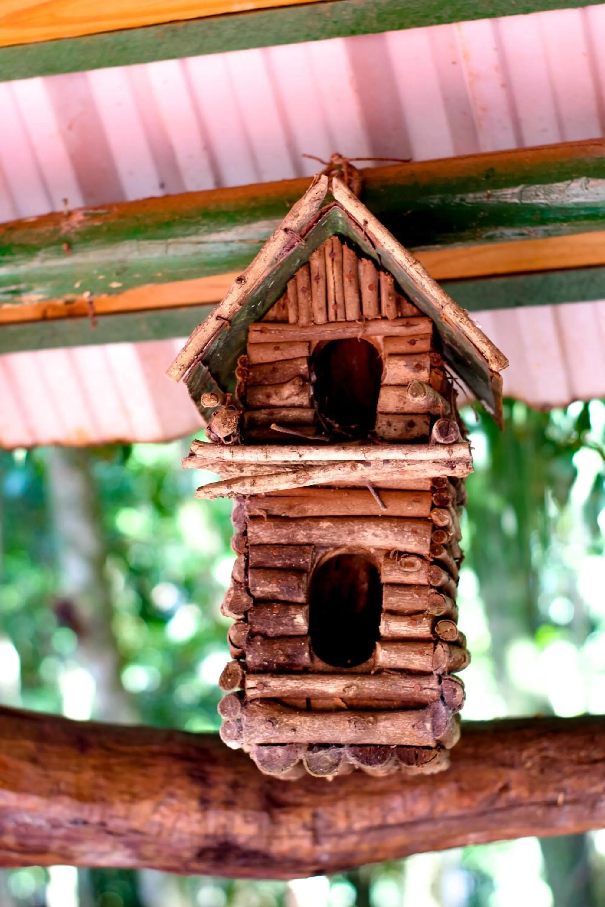 Day in Palo Rosa Lodge