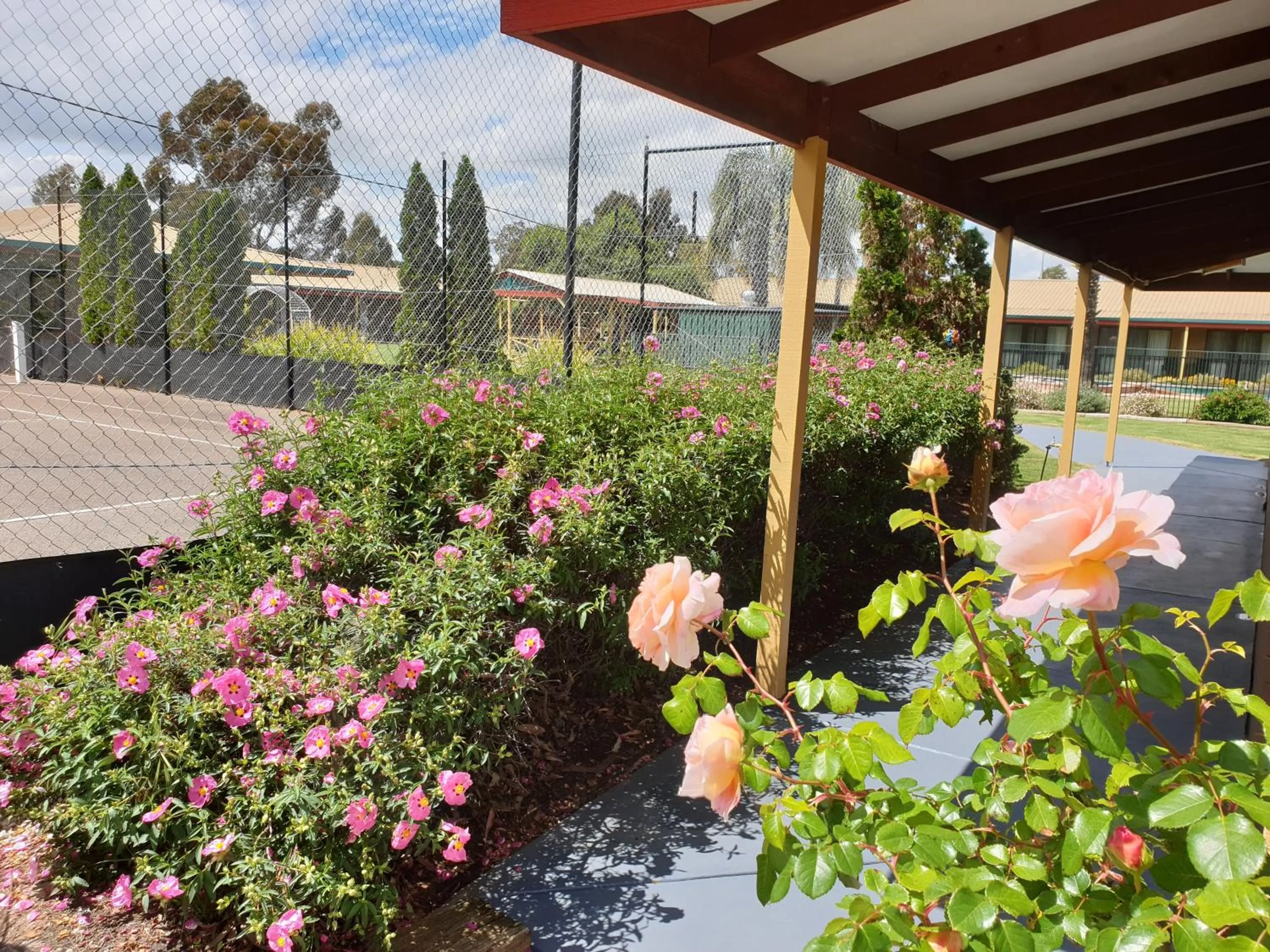 Garden view in Barooga Country Inn Motel