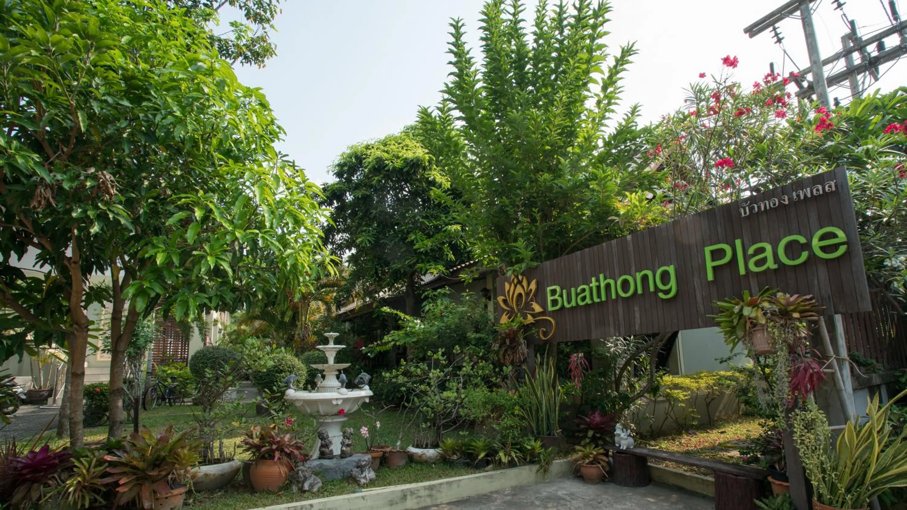 Other in Buathong Place