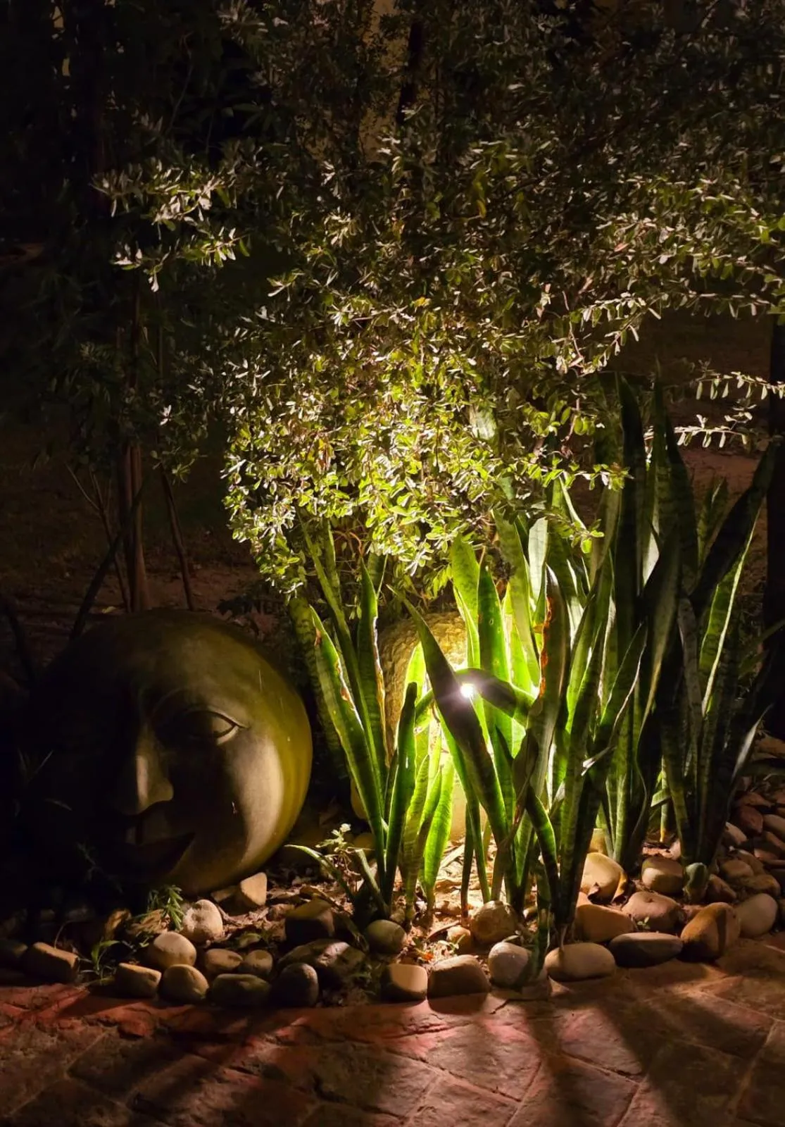 Garden in Barwara Kothi