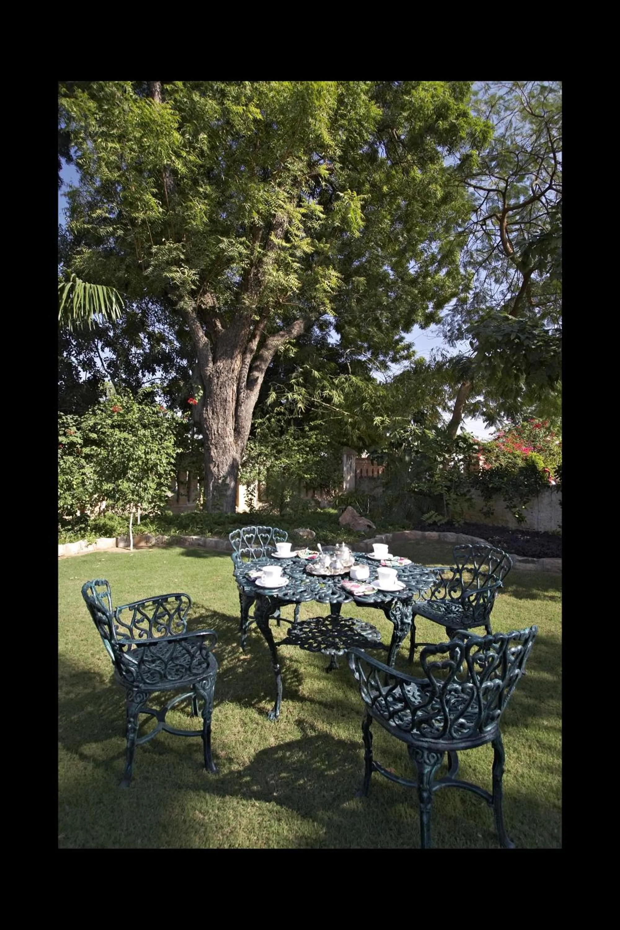 Garden in Barwara Kothi