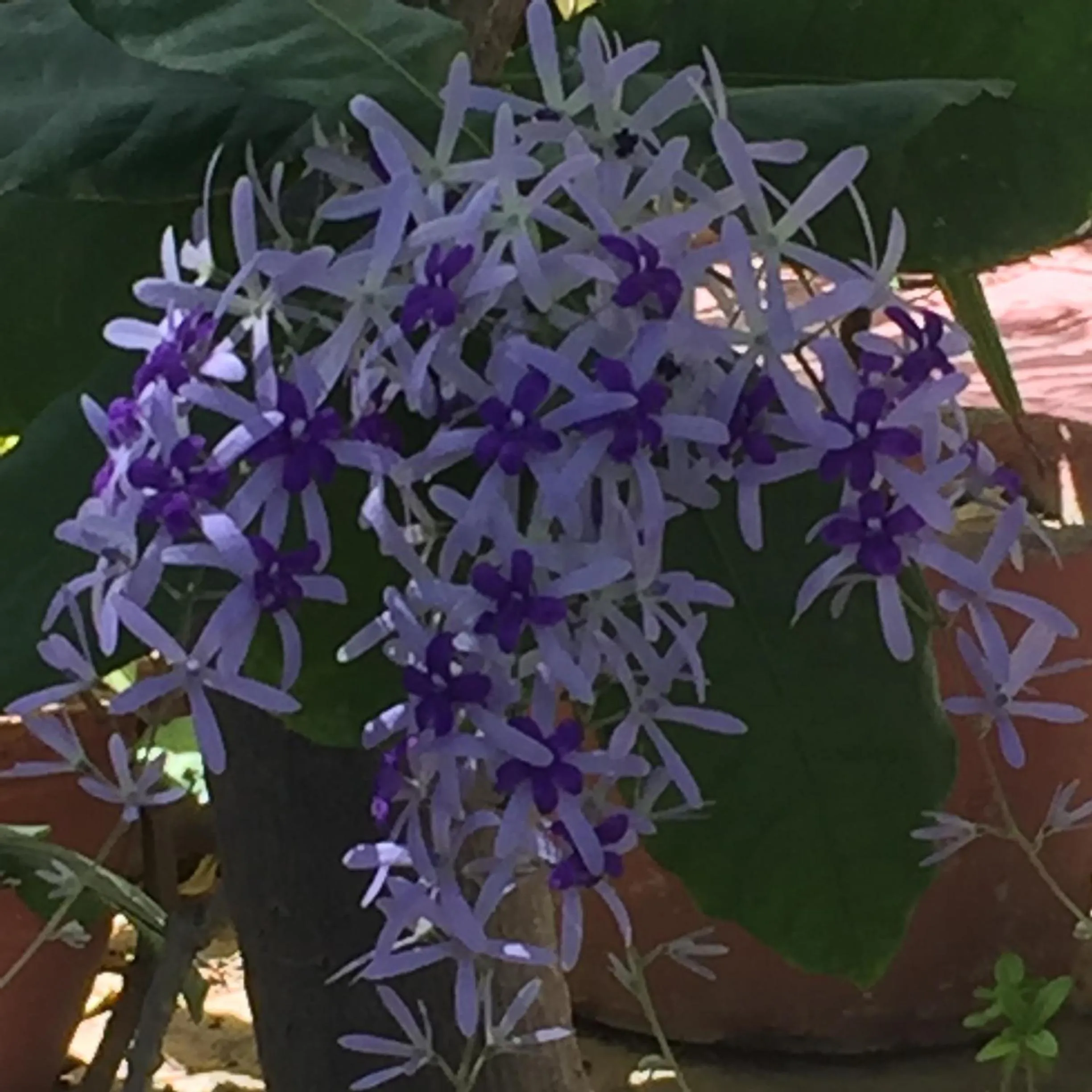 Natural landscape in Barwara Kothi