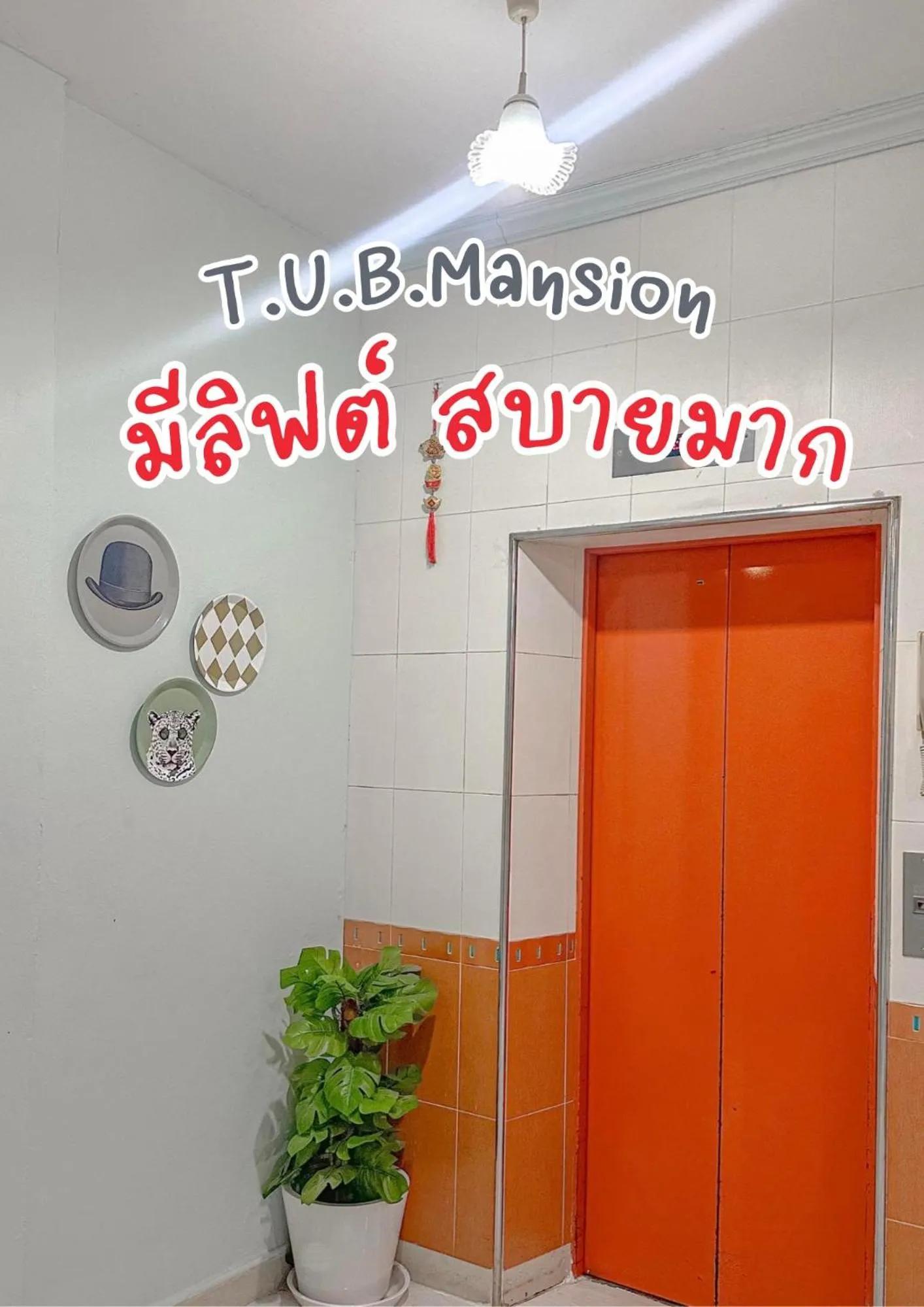T.U.B. Mansion