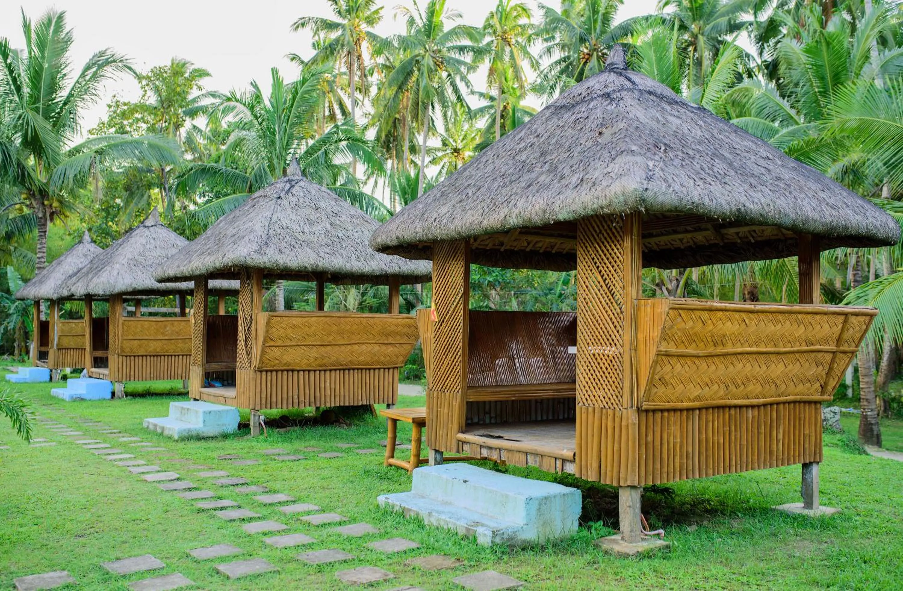 Freedom Eco Adventure Park powered by Cocotel