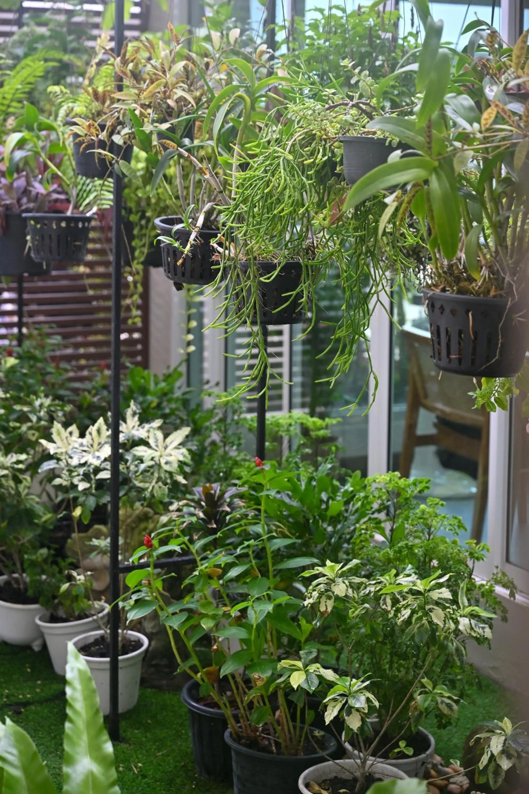 Garden in Sivana Place Phuket