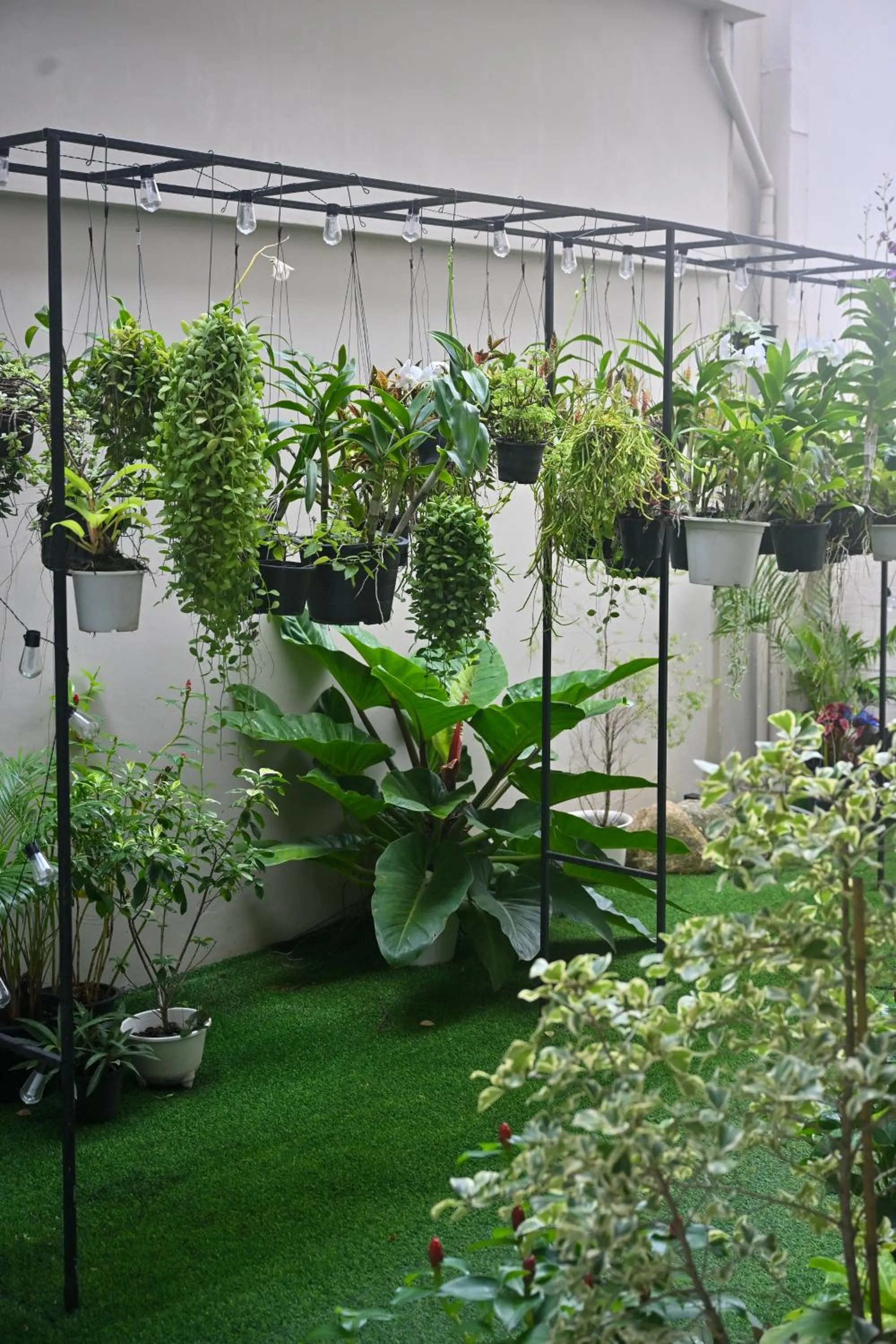 Garden in Sivana Place Phuket